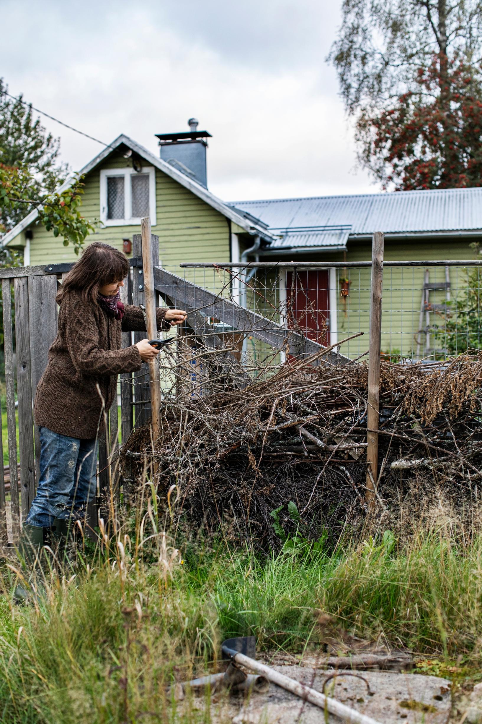 A brushwood-built vegetation belt around Stella's garden