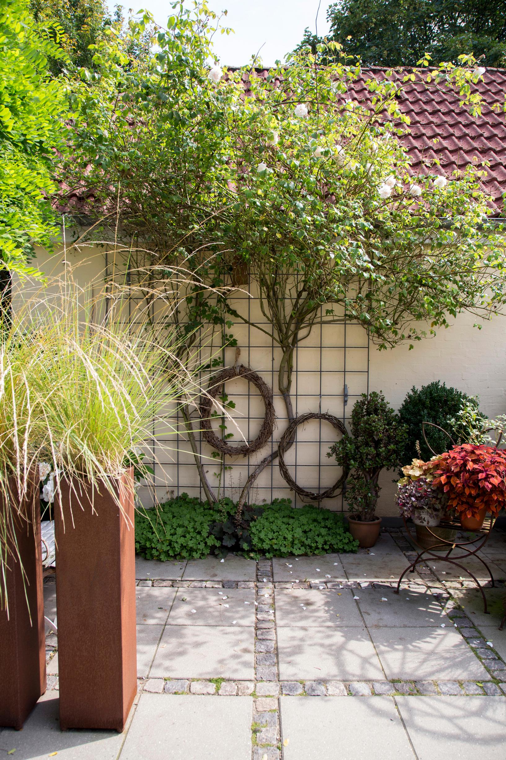 Support for climbing plants