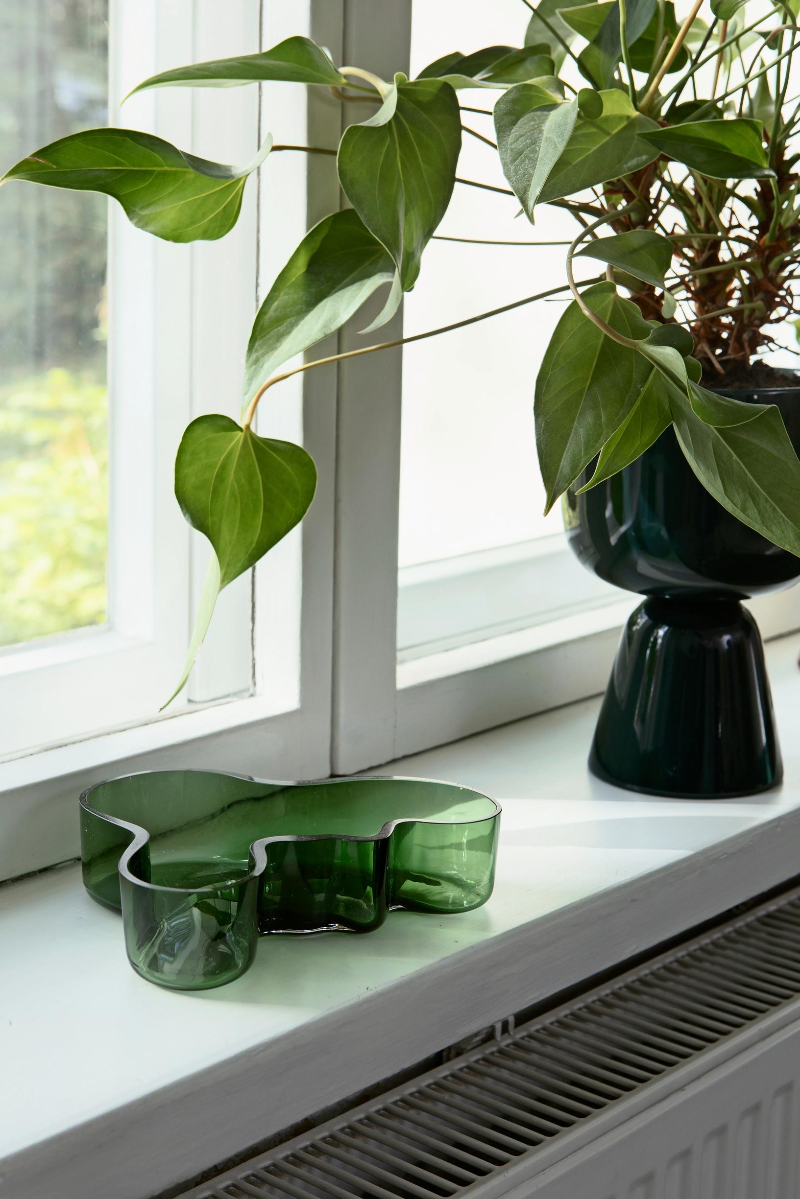 An Aalto vase and a Nappula planter on the windowsill