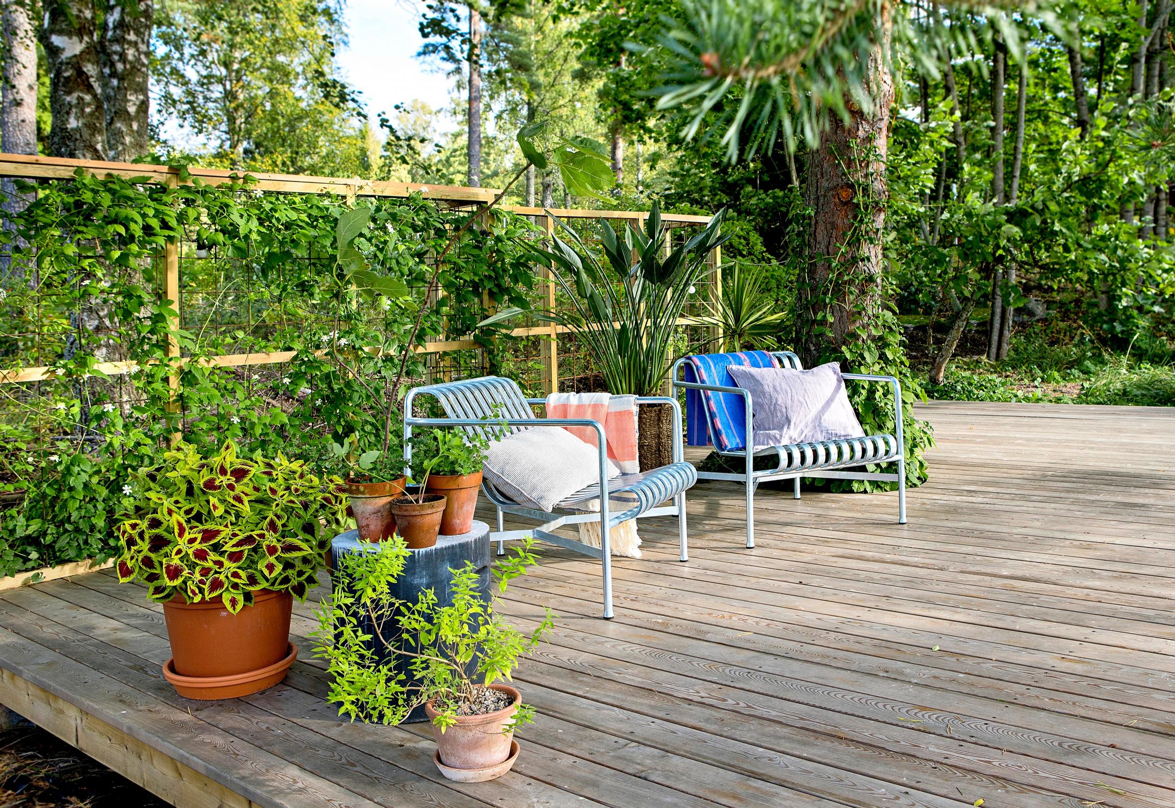 A patio framed by plantings and greenery.