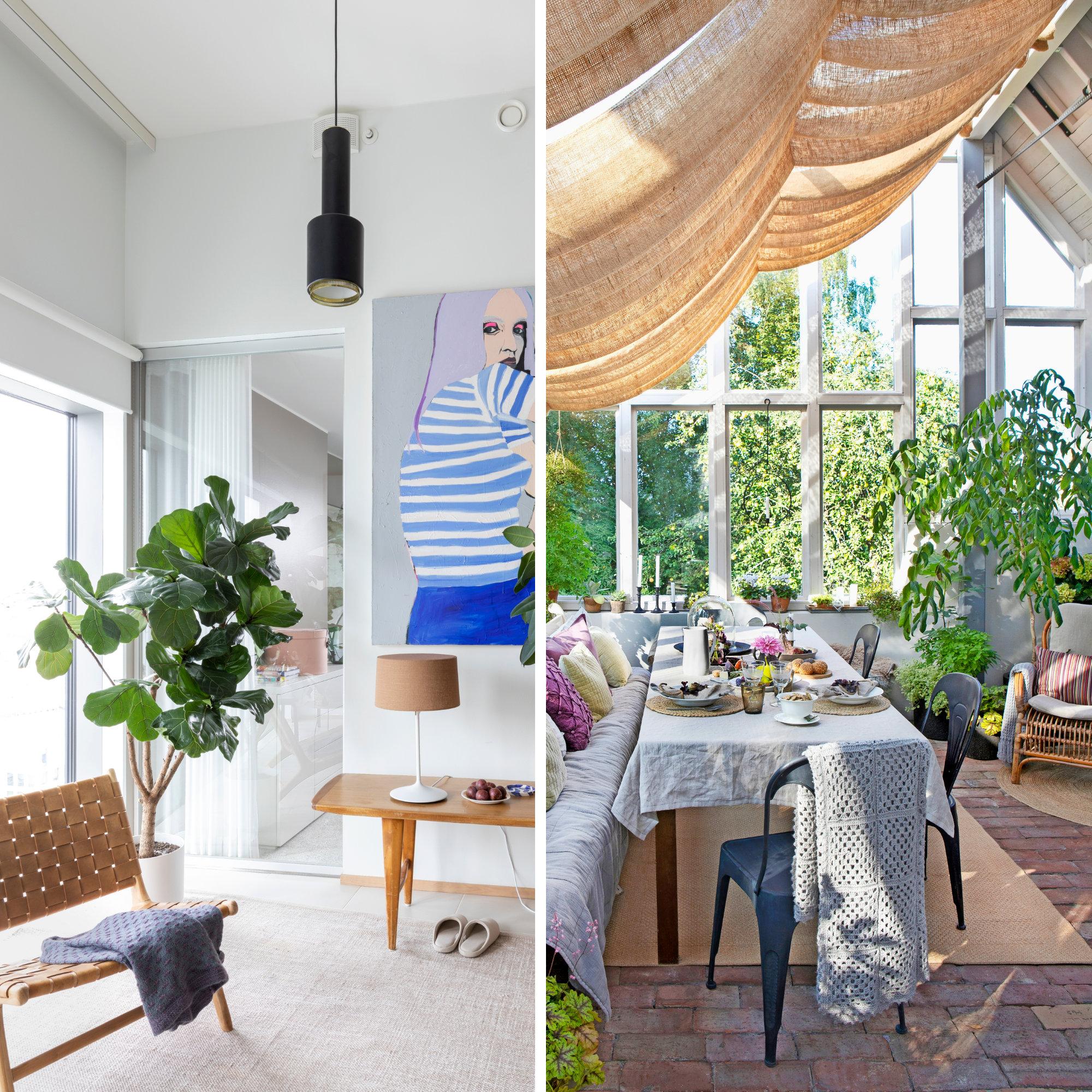 8 × dreamy sunrooms—check out these ideas for garden room and create a haven for relaxation and lounging!