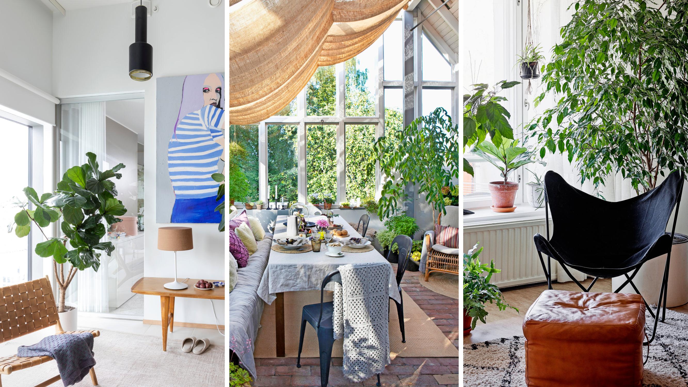 8 × dreamy sunrooms—check out these ideas for garden room and create a haven for relaxation and lounging!