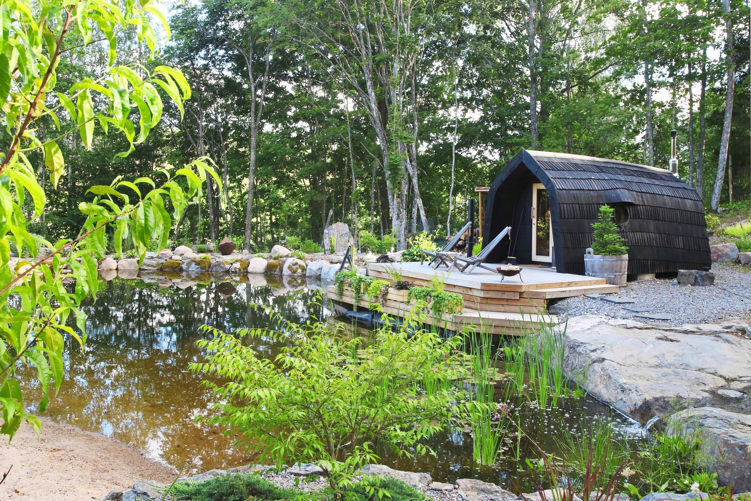 A swimming pond in the yard of a single-family home