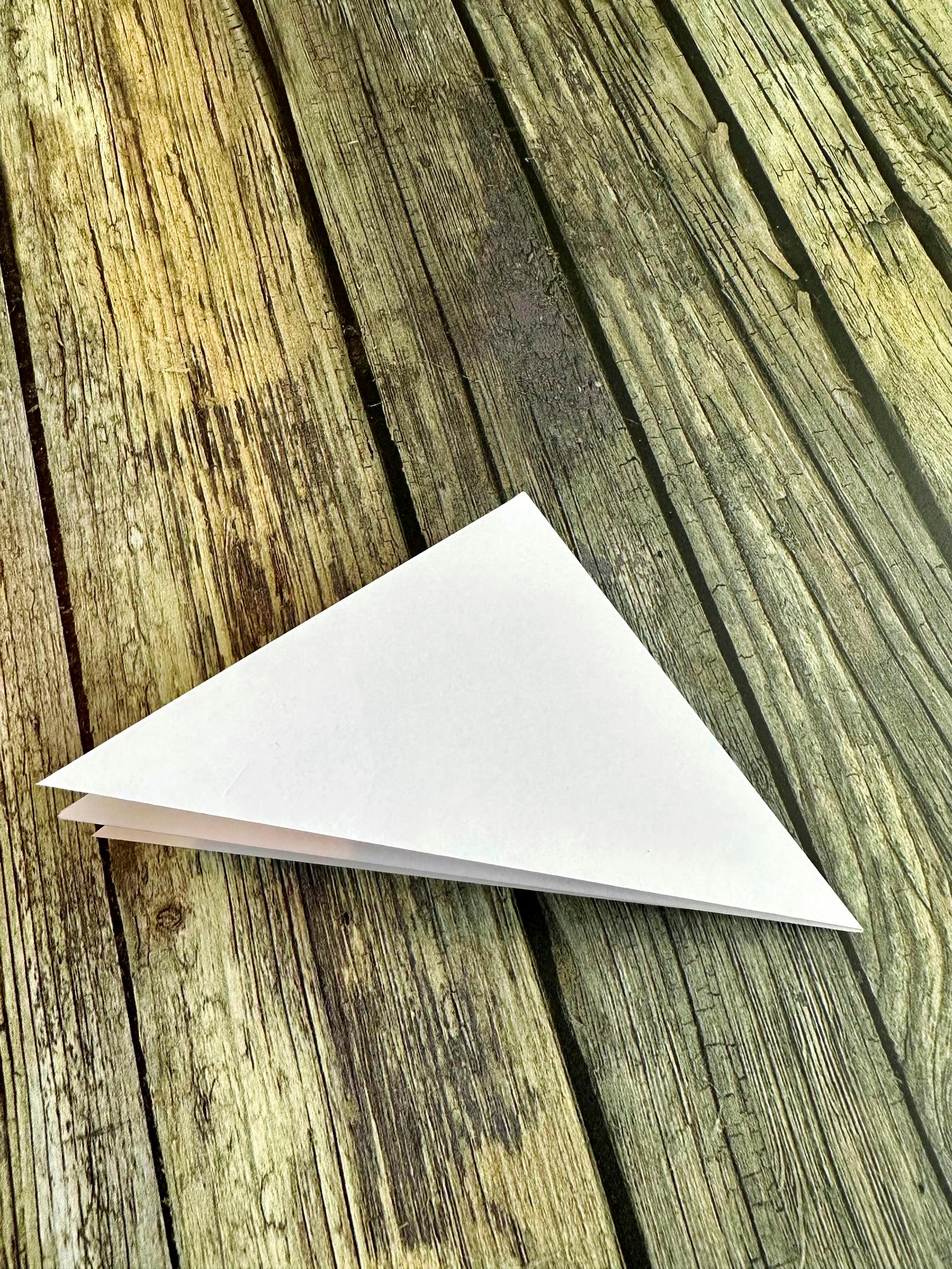 Folding the origami