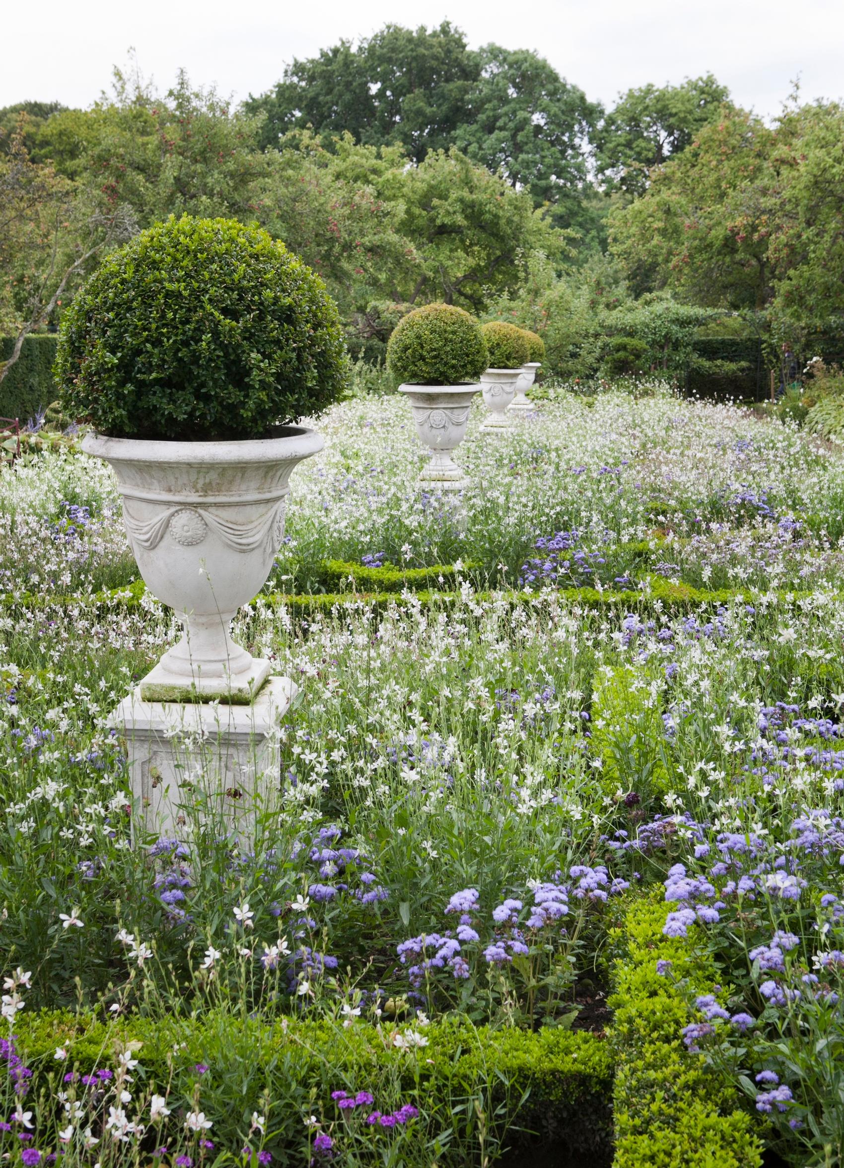Summer flowers in a formal garden