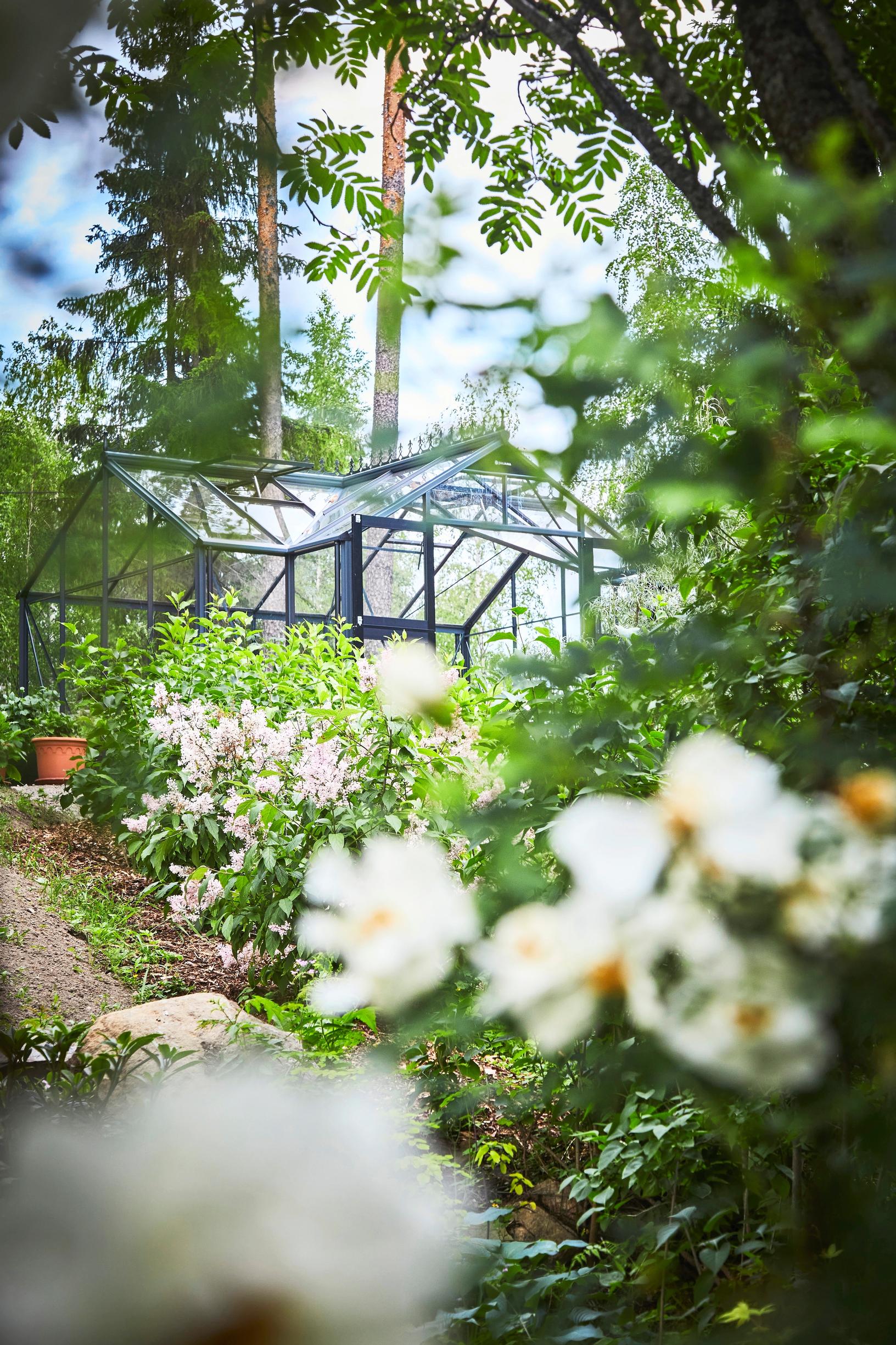 The greenhouse has plenty of room for delicate varieties and for relaxing.