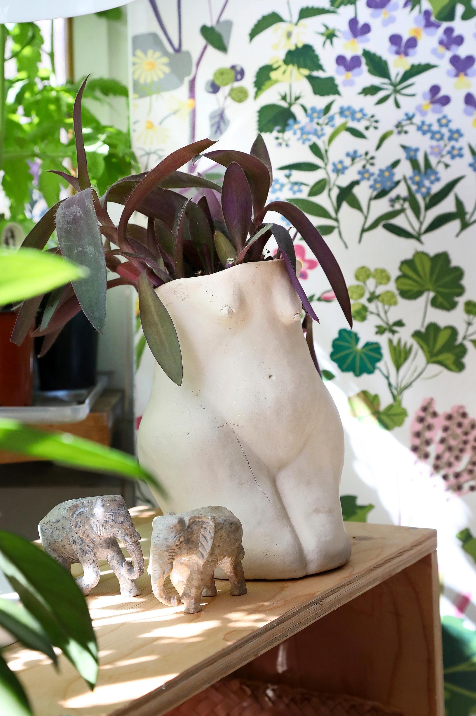 houseplants decor