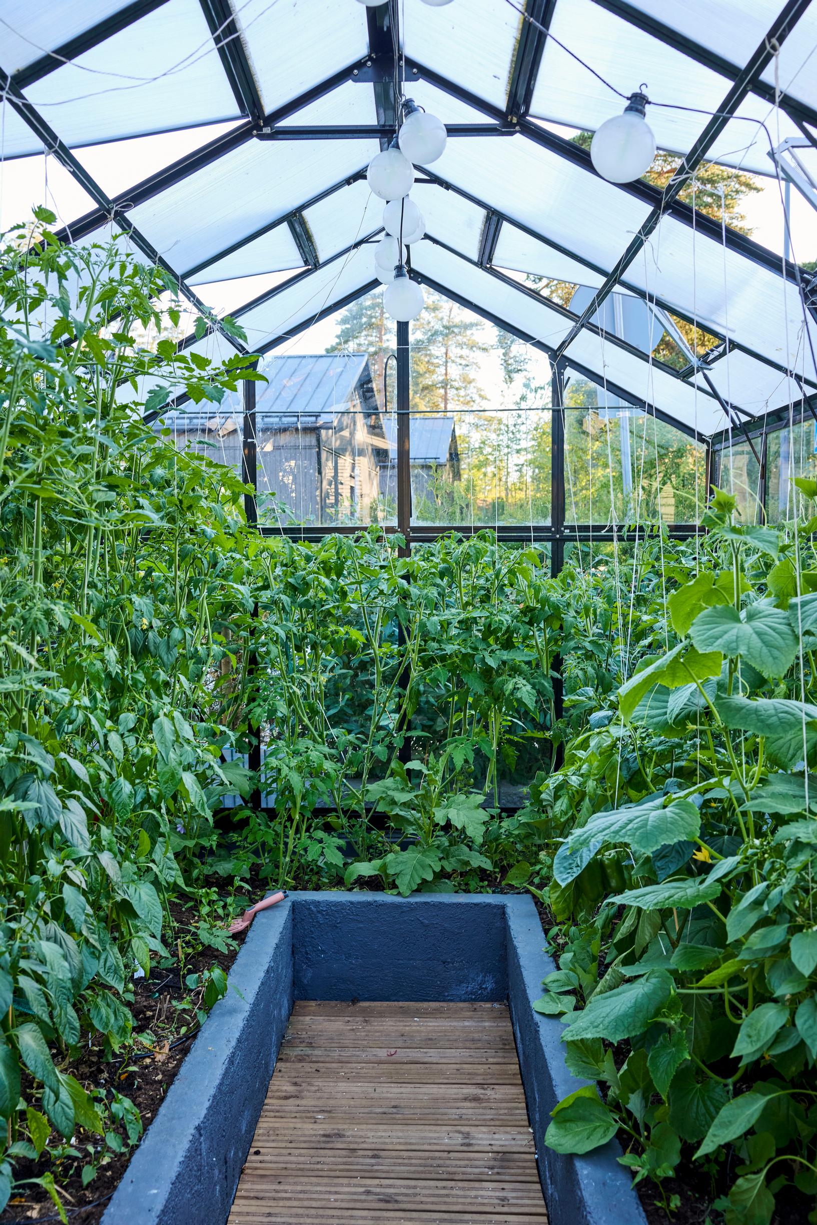 inside the greenhouse
