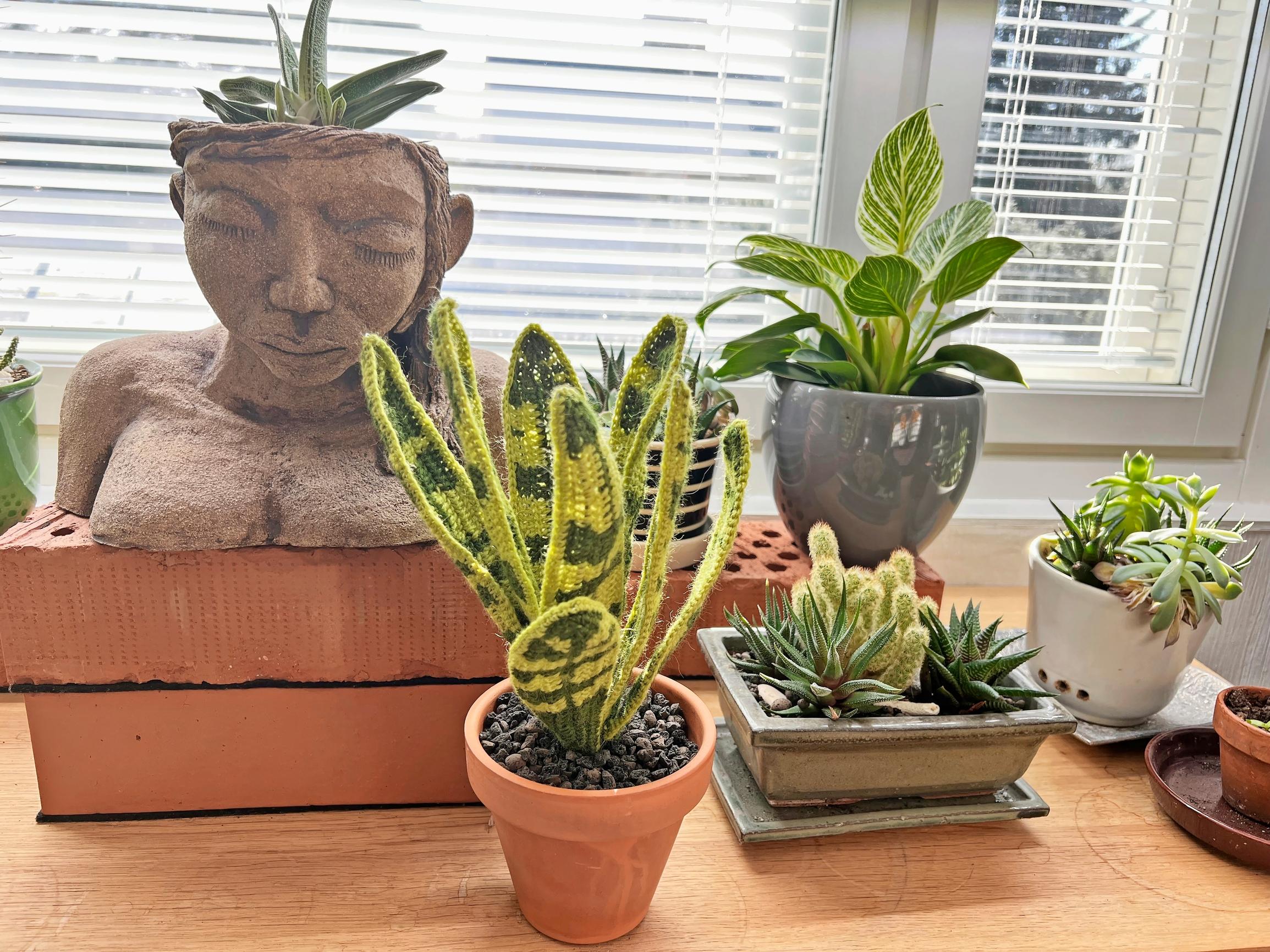 Pictured are the plants and the head-shaped ceramic pot.