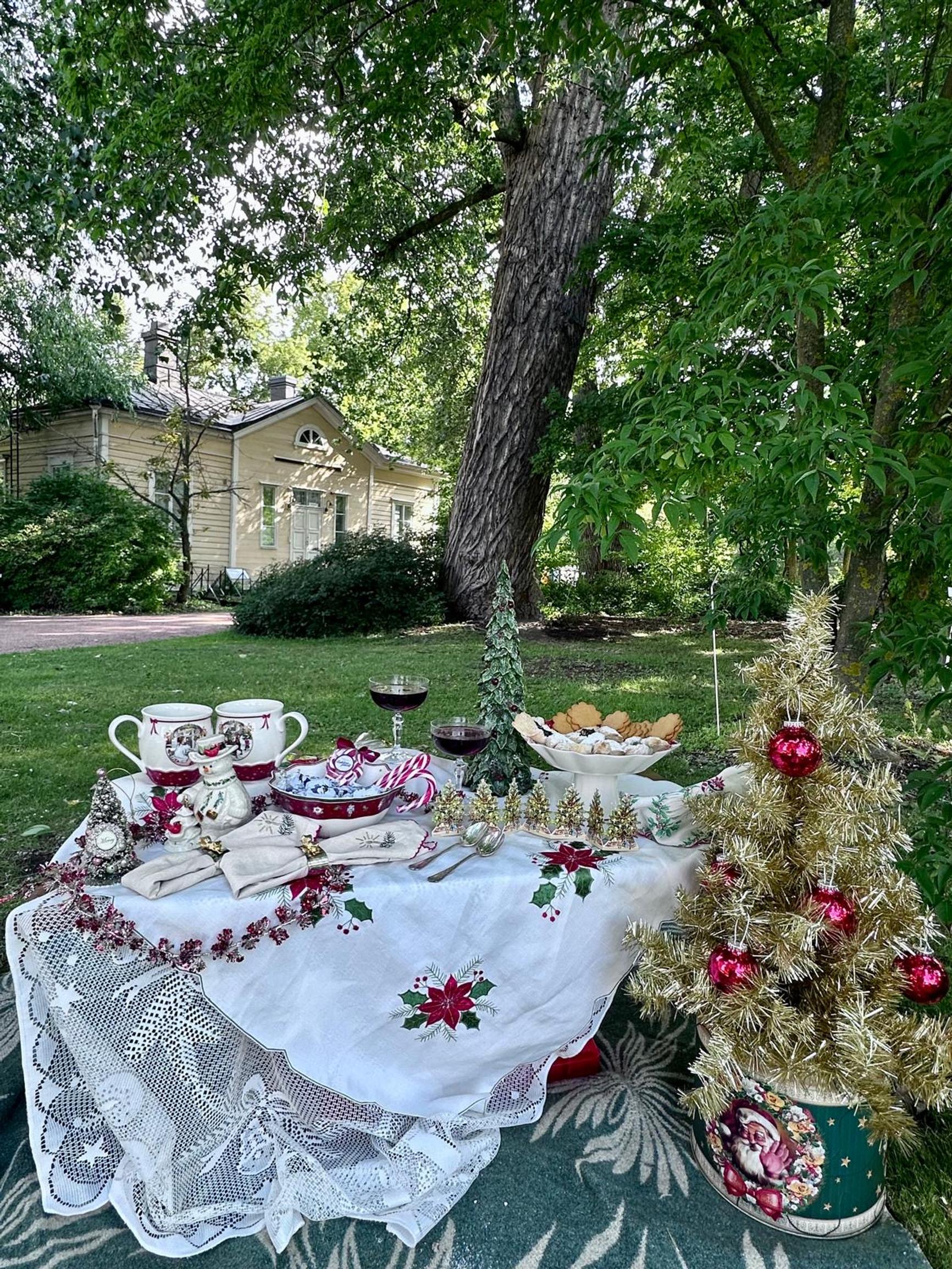 Johanna and Hanna’s Christmas picnic