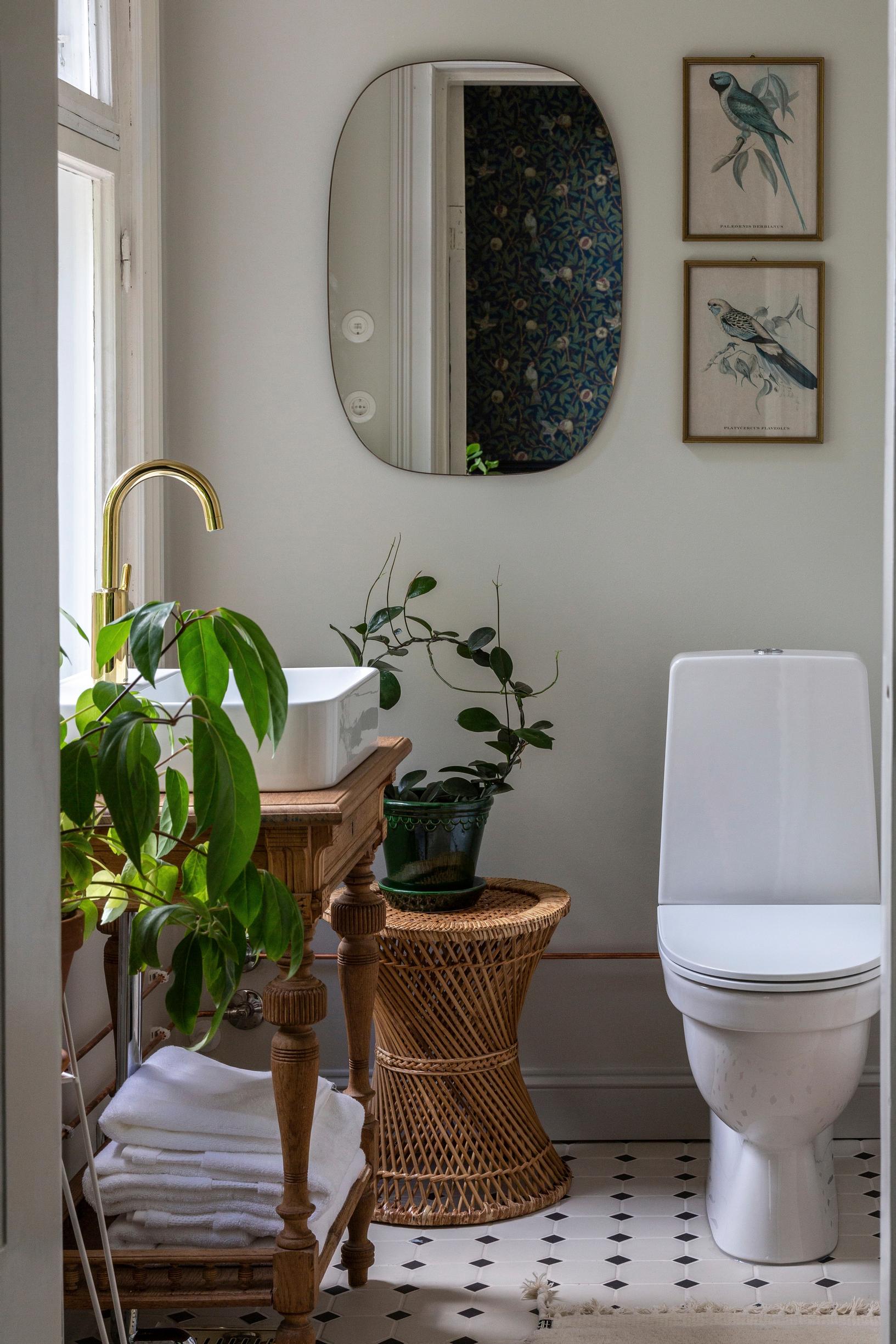 Arranging plants indoors: houseplants in the bathroom