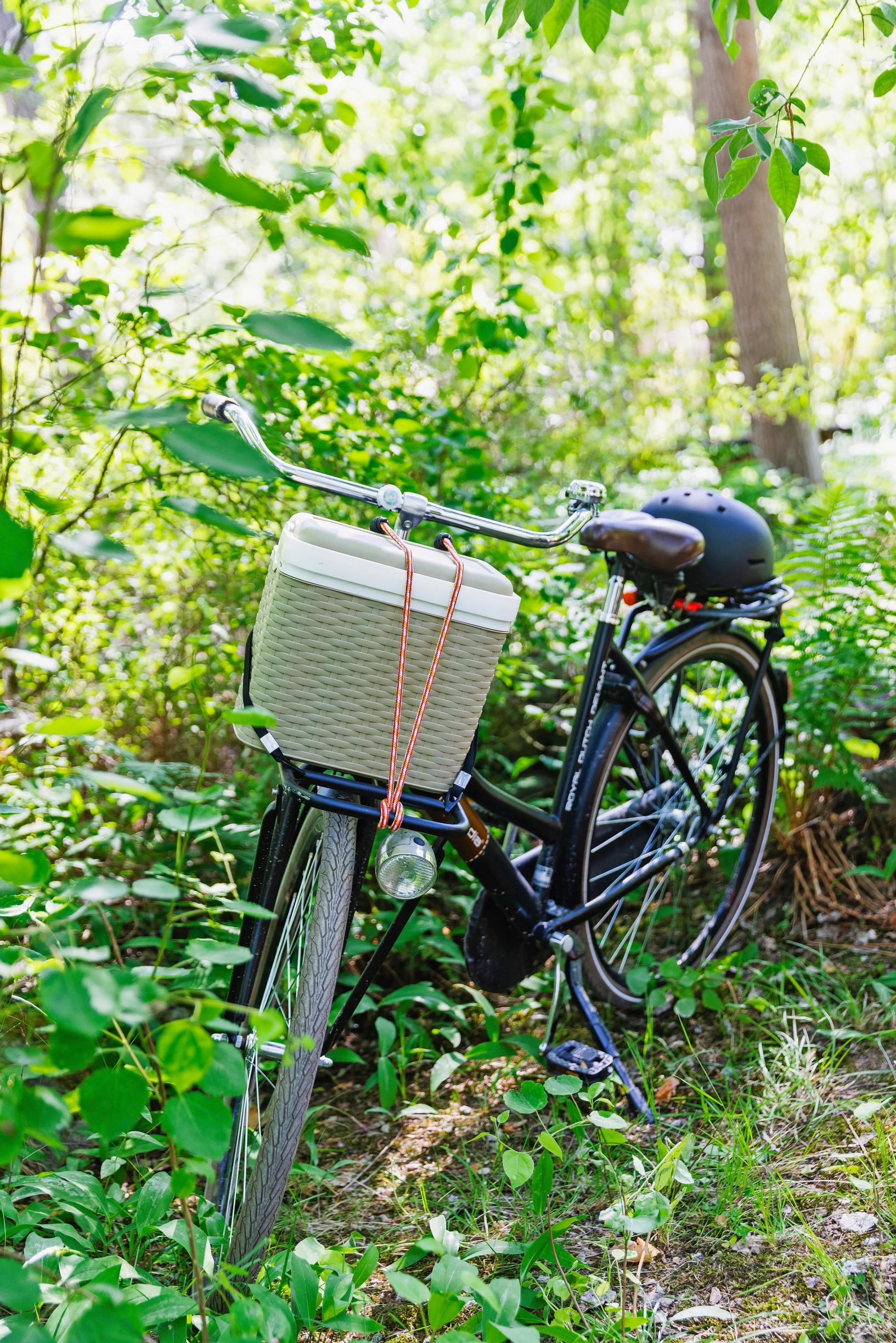 a cooler attached to a bicycle