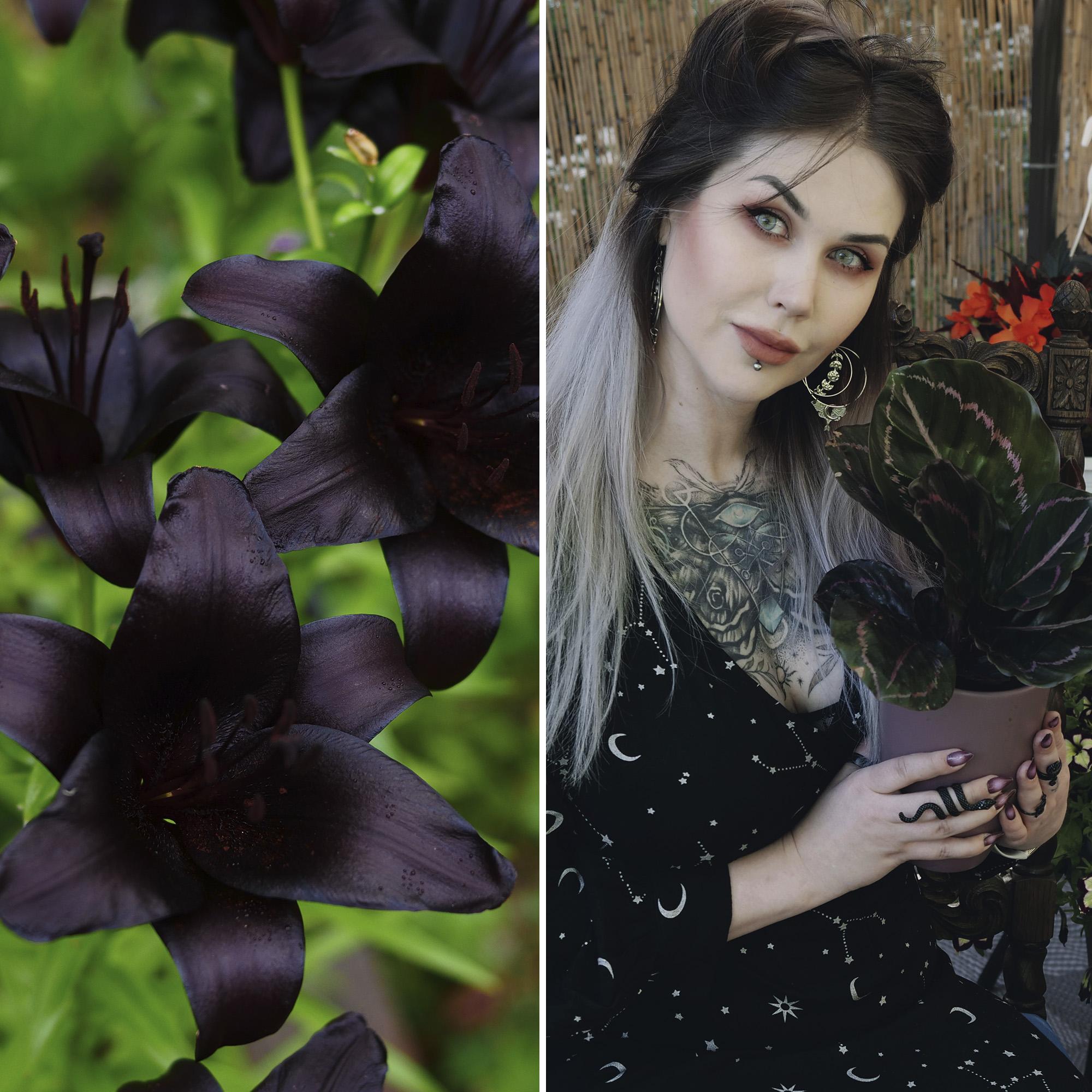 Ida-Emilia’s goth garden: “I can’t wait for my black rose to bloom!”