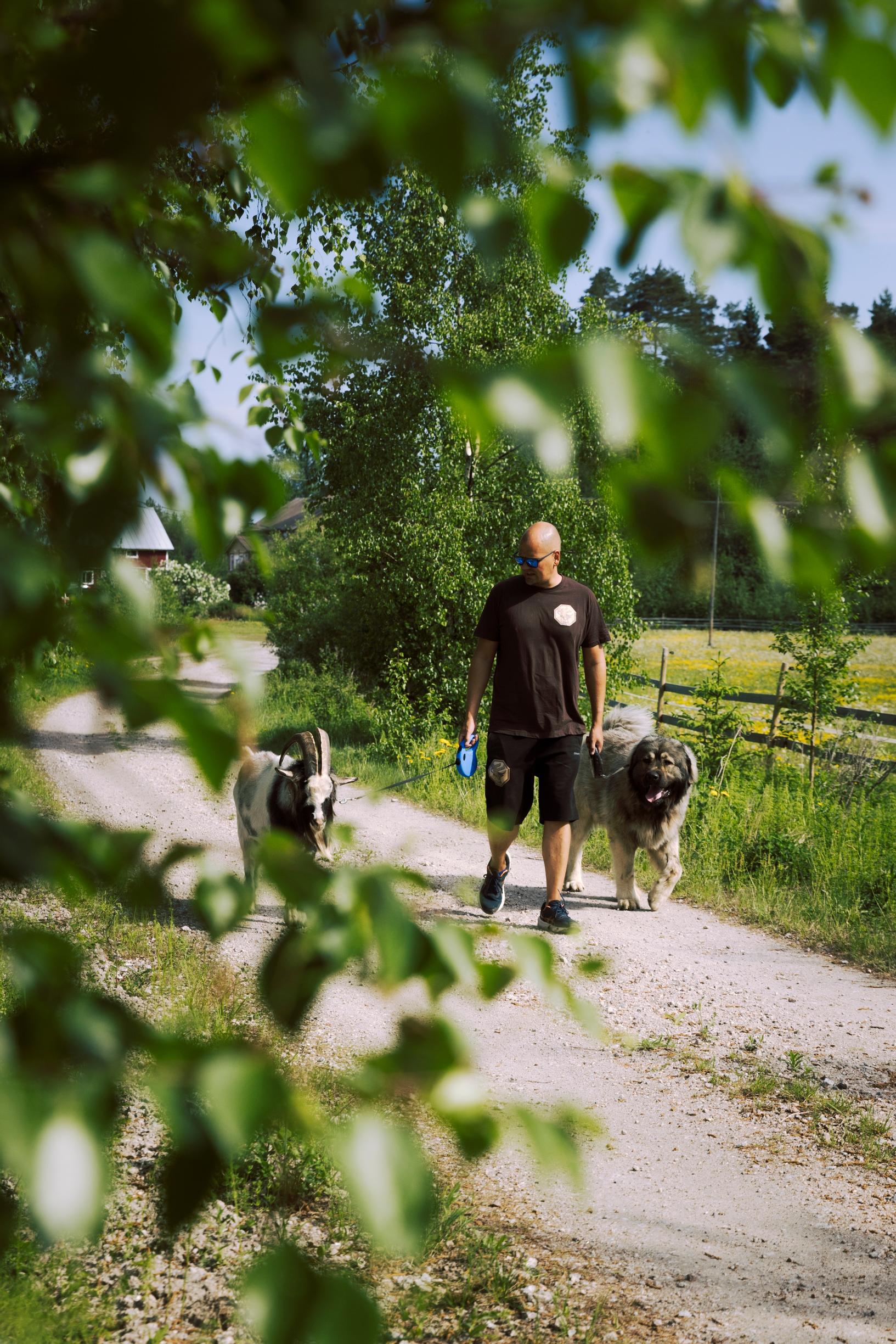 man, goat, and dog walking on a dirt road