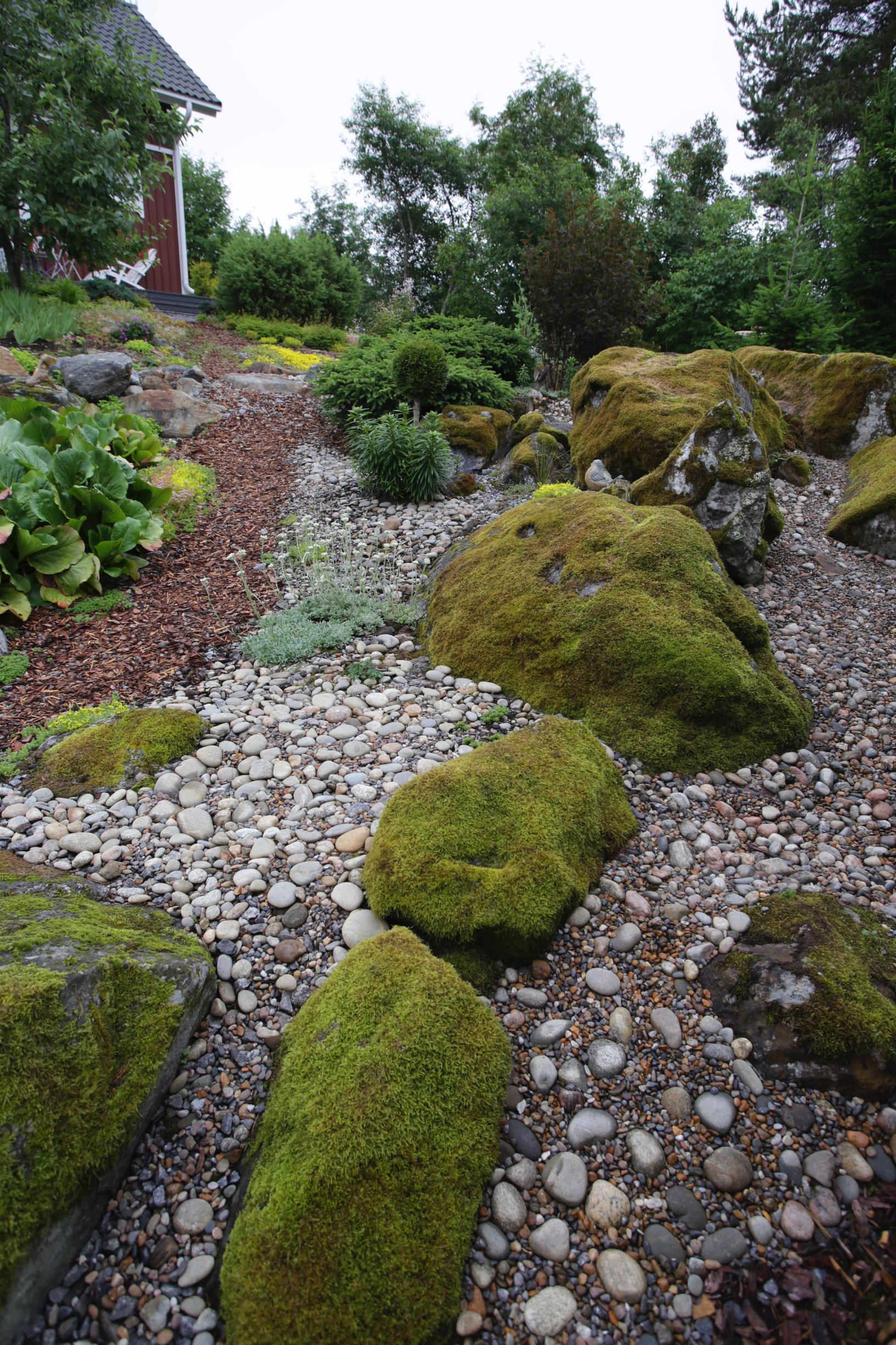Moss-covered stones in the garden