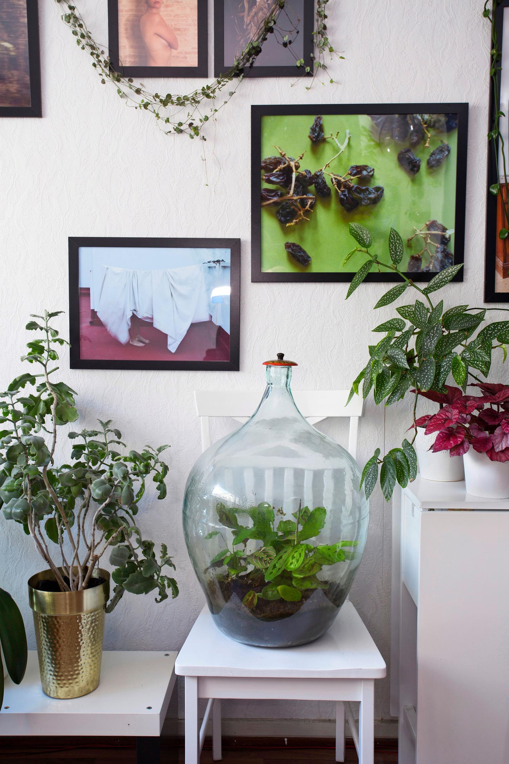 Bottle garden