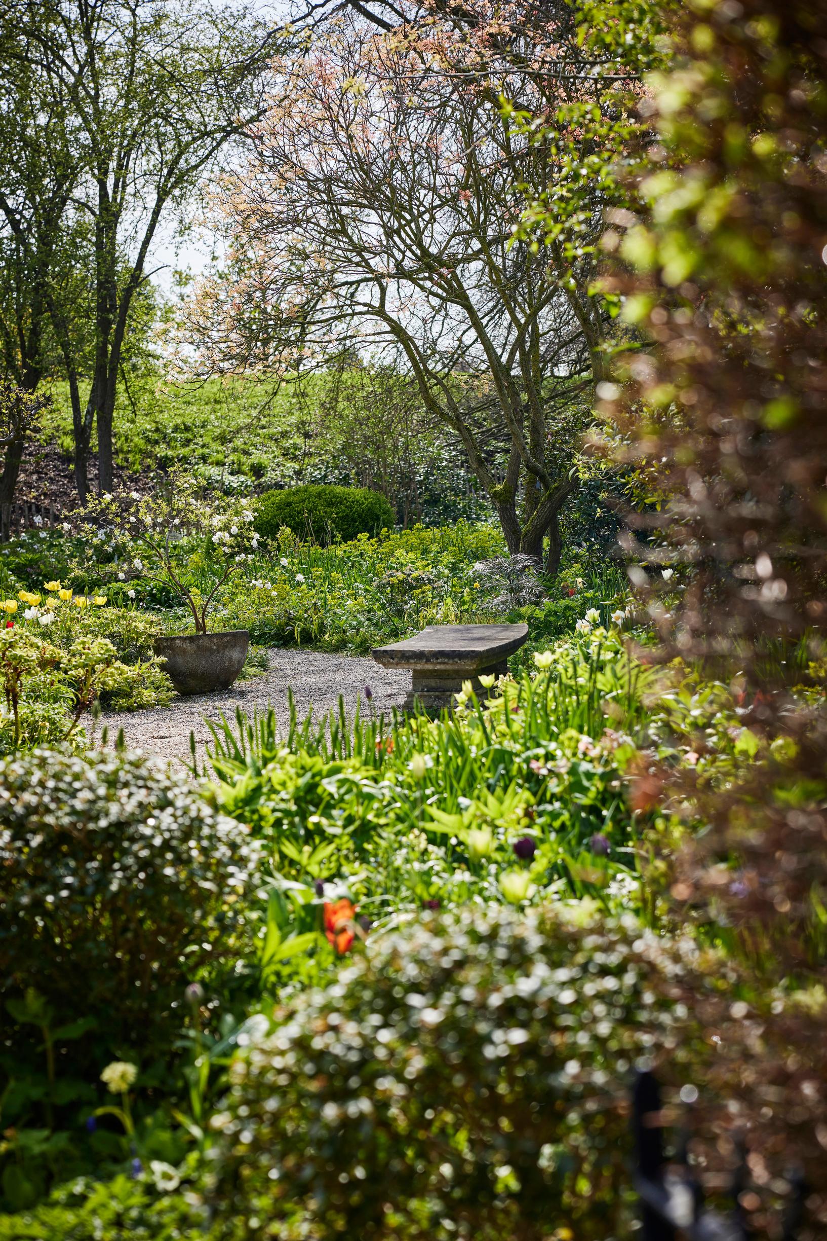 Jacqueline van der Kloet’s garden