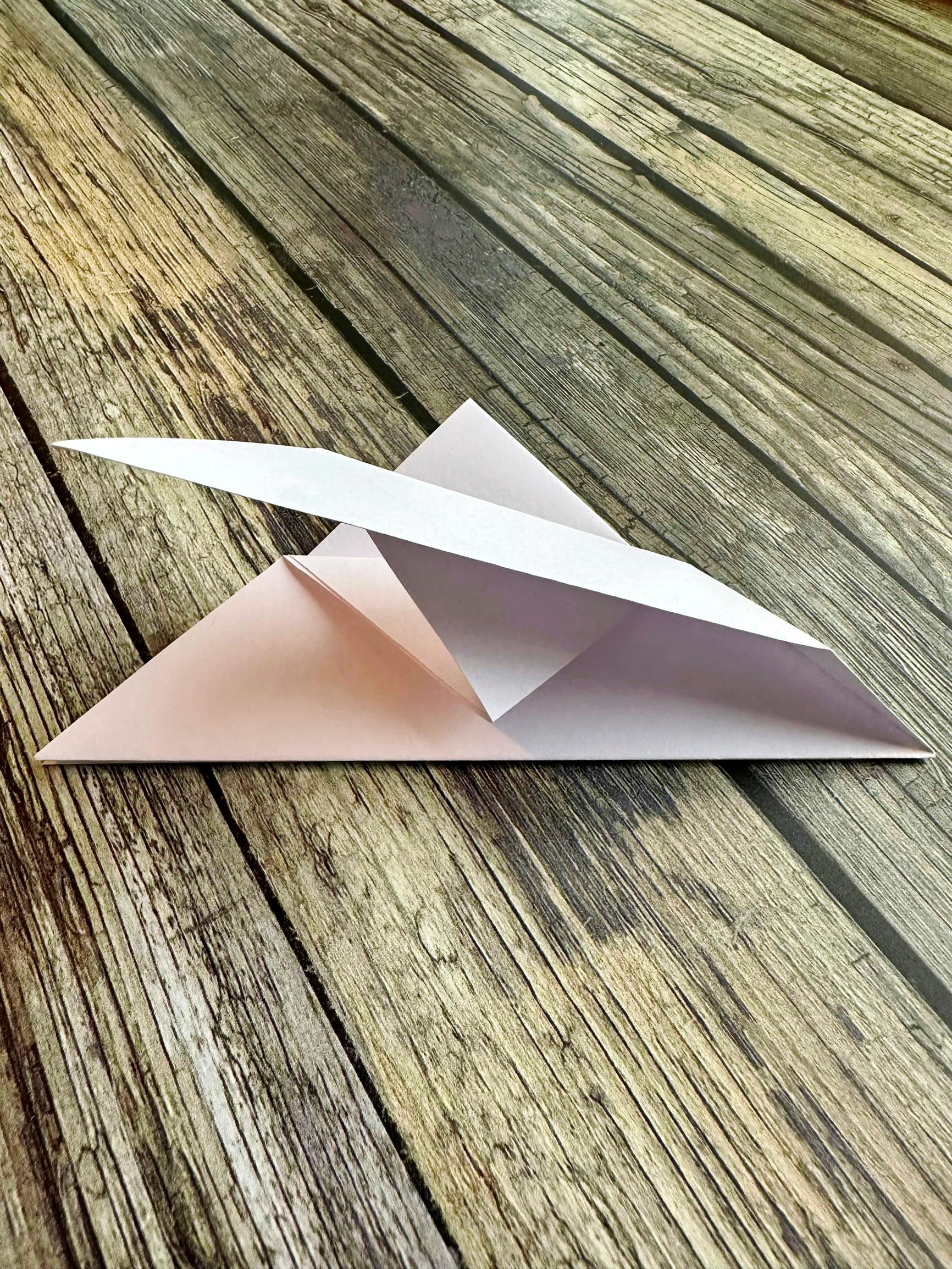 Folding the origami