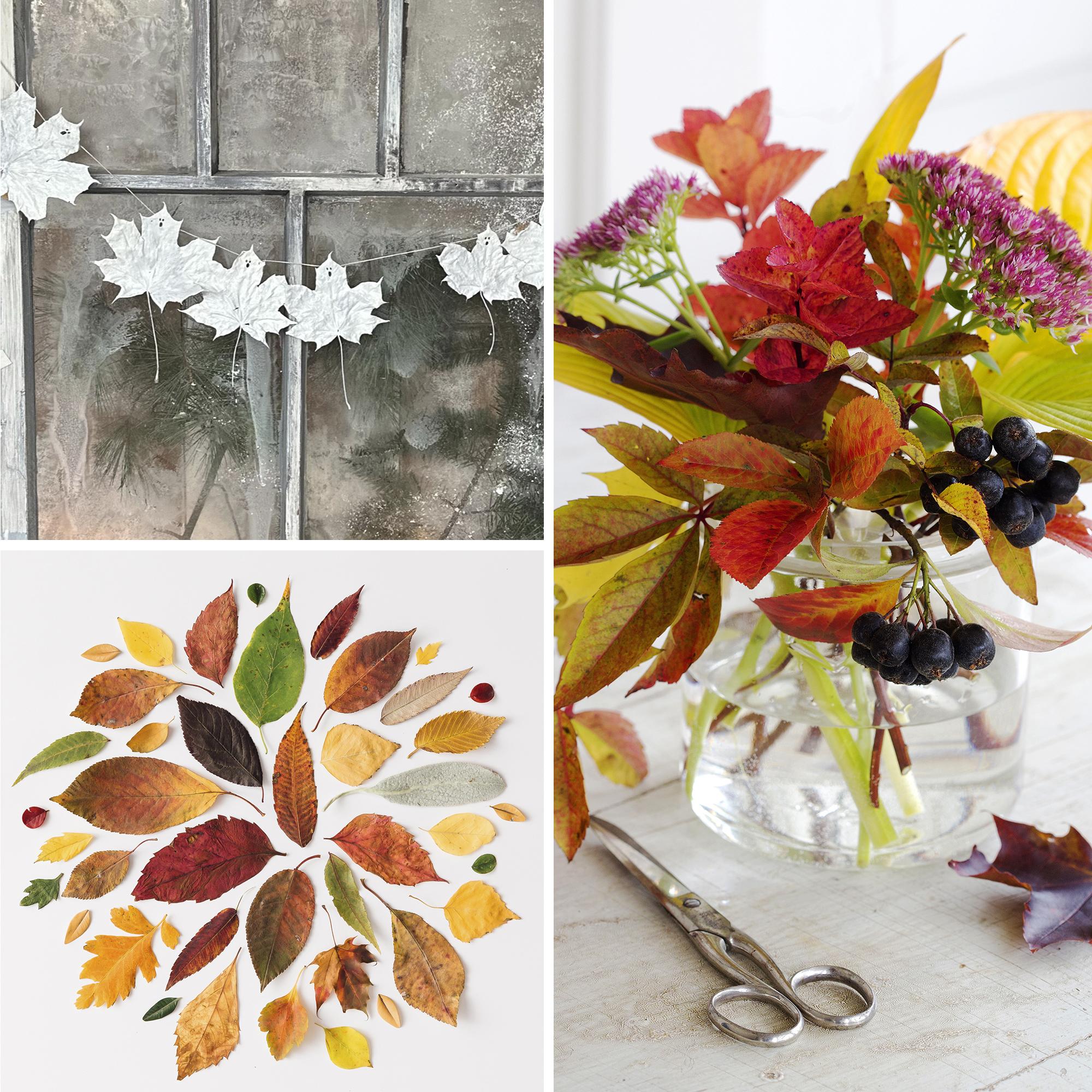 8 creative ways to decorate with autumn leaves