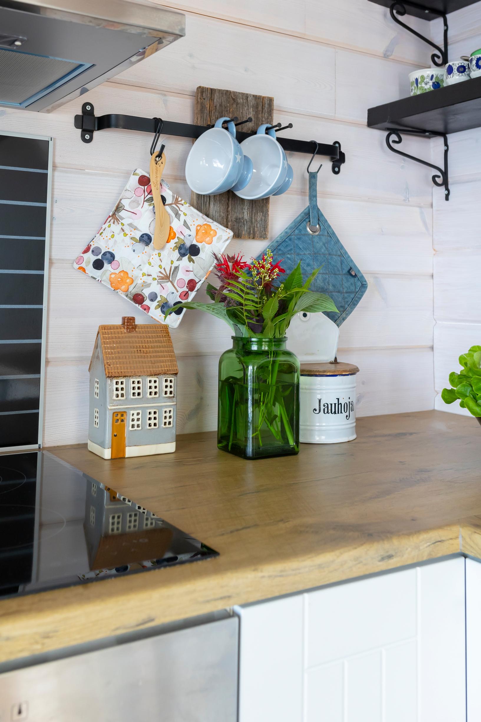 items on the kitchen counter and an induction stove