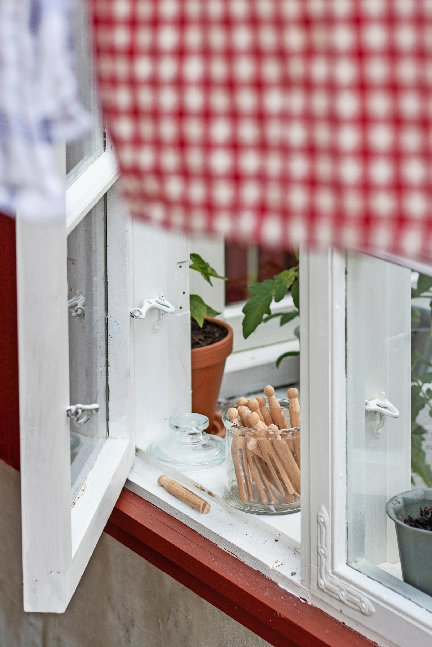 Photo of the greenhouse windowsill.