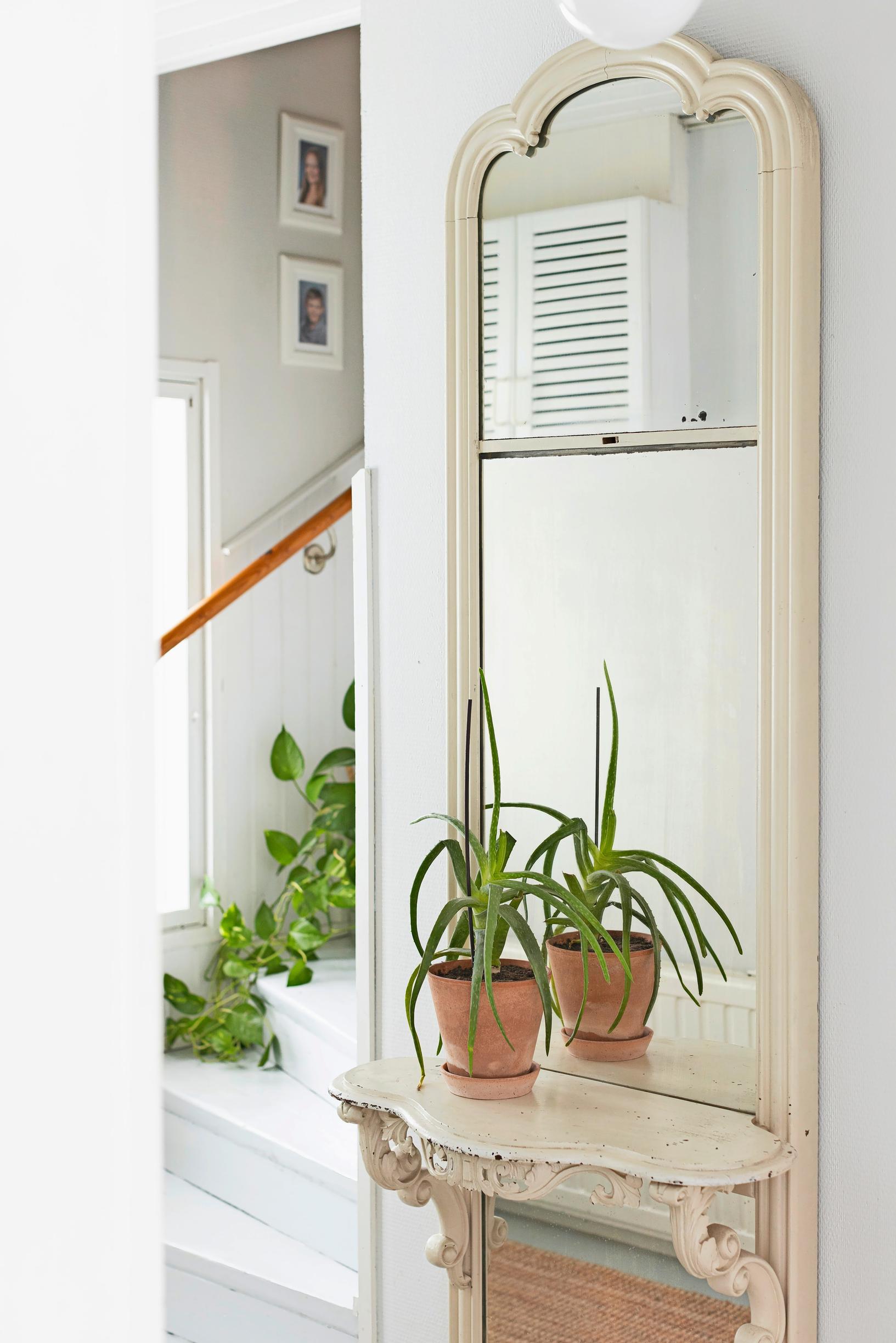 Mirror in the entryway