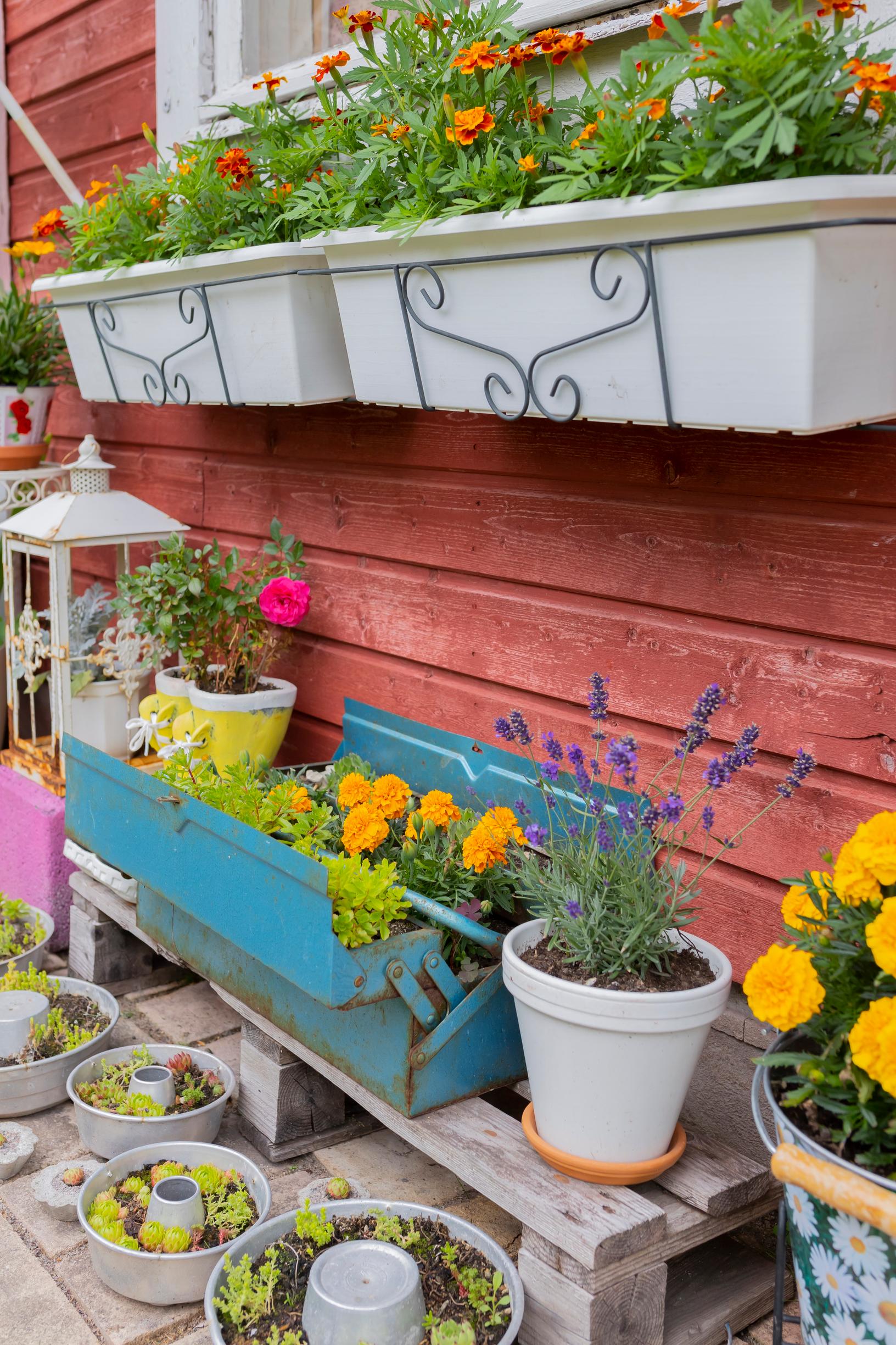 summer flowers in a garden box and on a shelf next to a red house