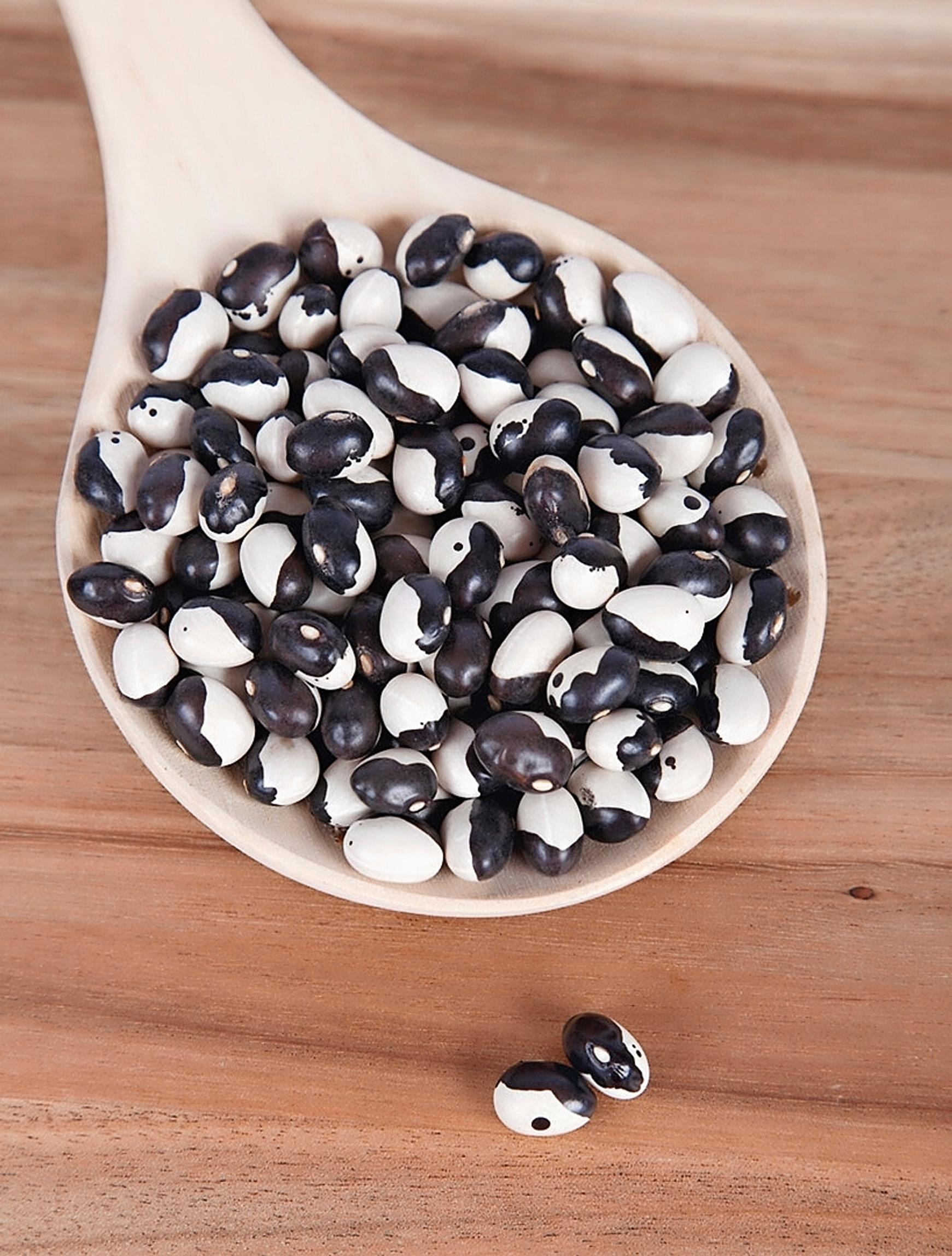 Bean varieties: common bean ’Yin Yang’