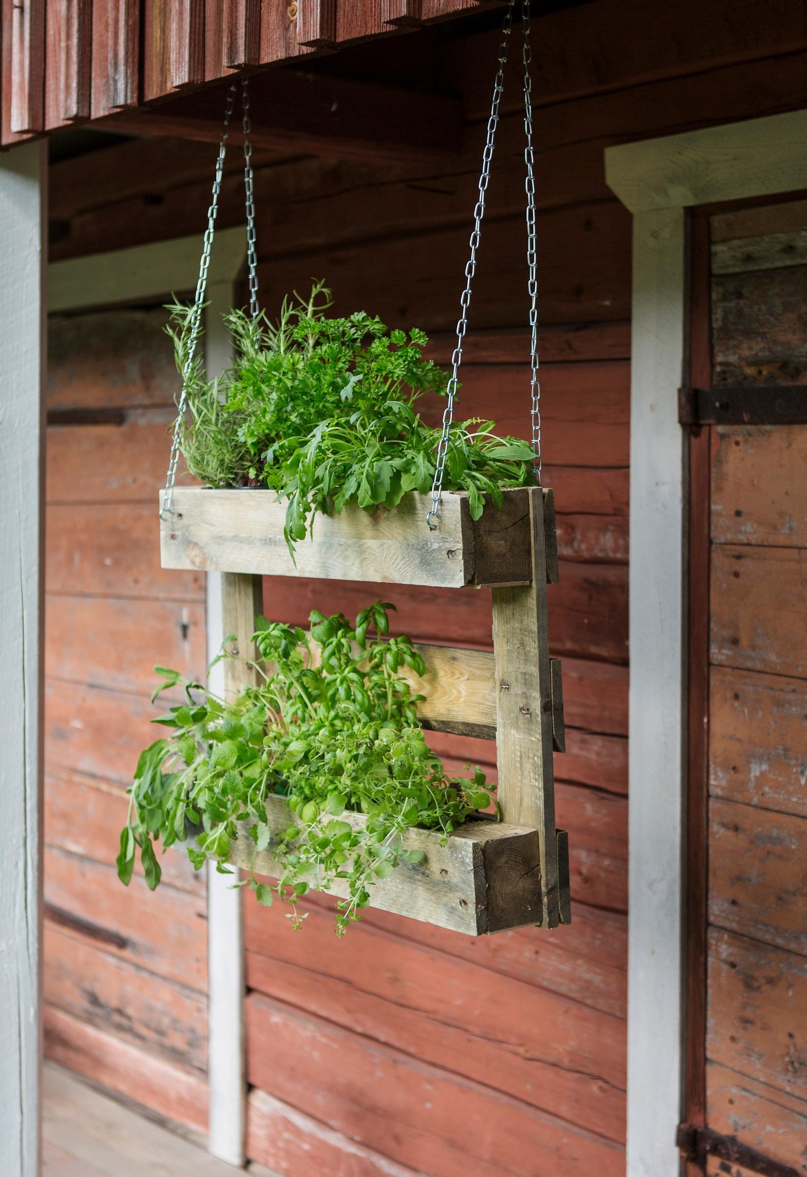 Hanging herb shelf built from pallets