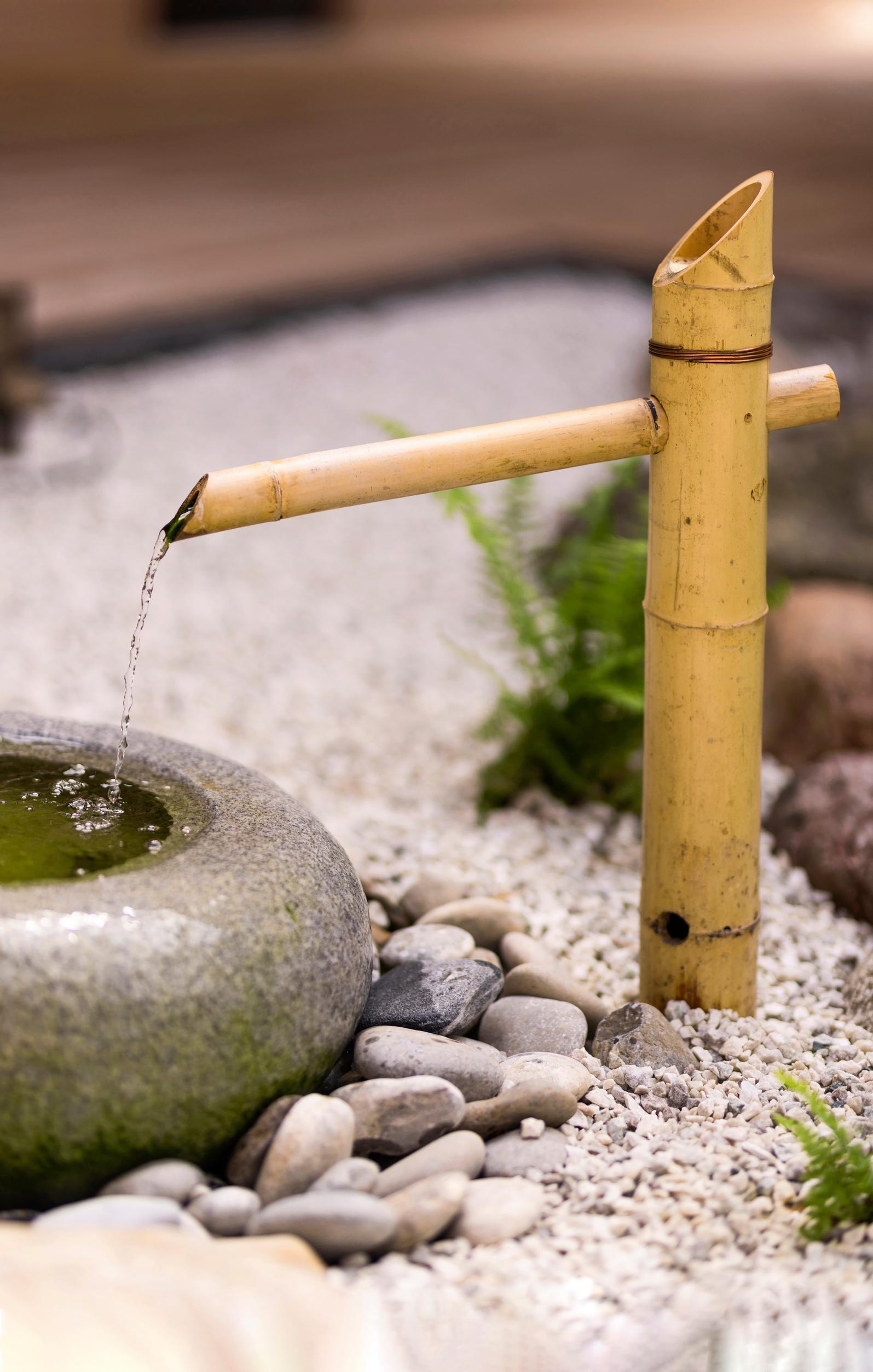japanese garden: water feature