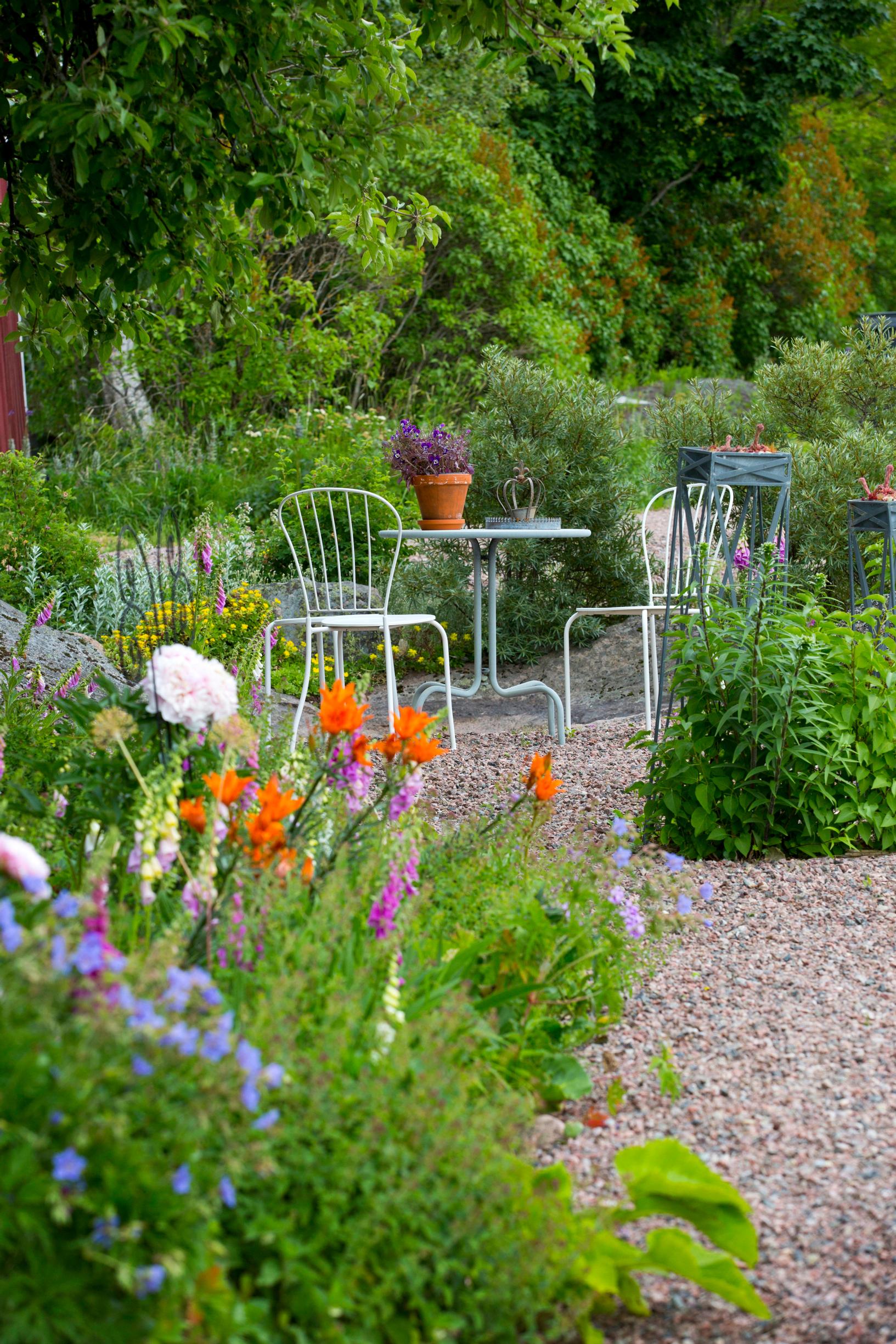garden ideas