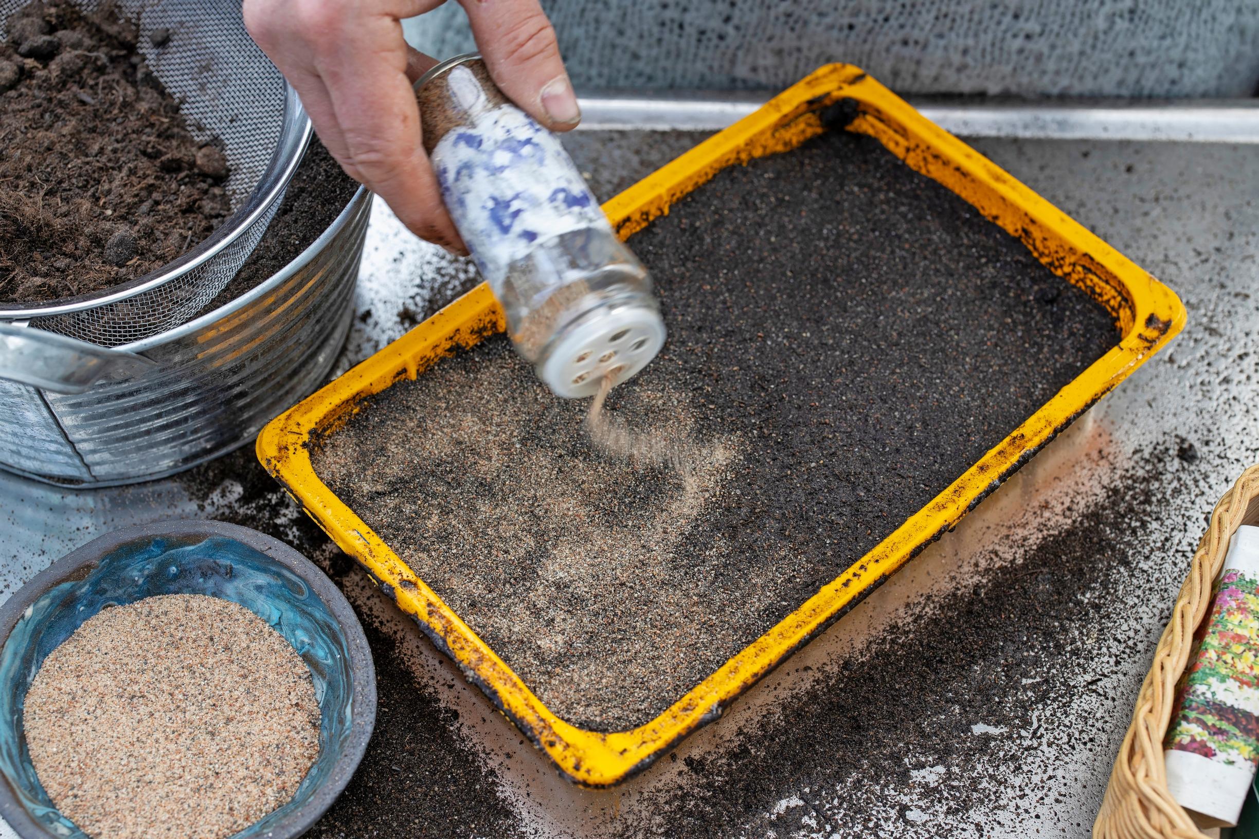 sowing tiny seeds