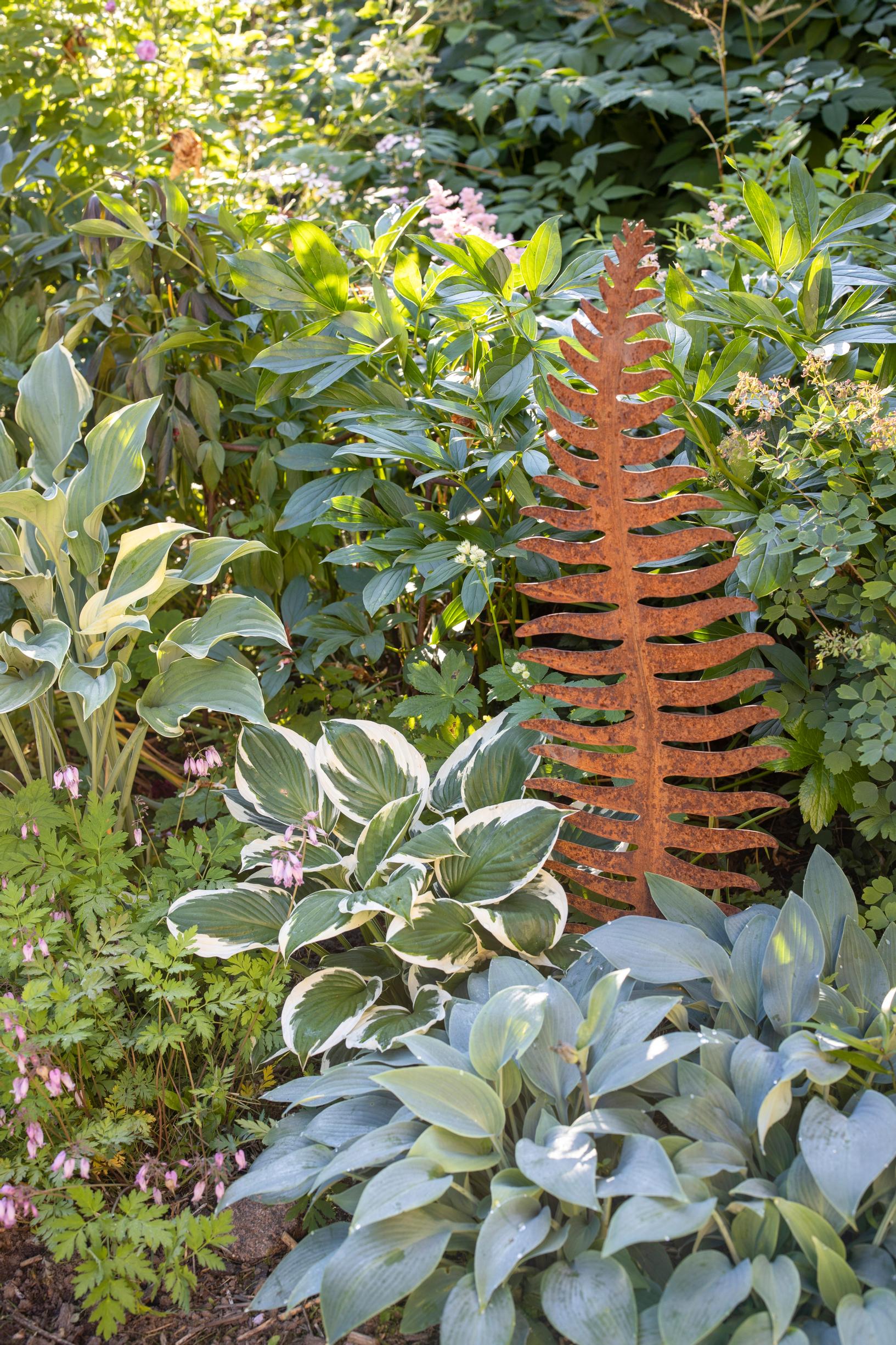 From left to right, the hosta ‘Regal Splendor,’ the hosta ‘Patriot,’ and the hosta ‘Halcyon.’
