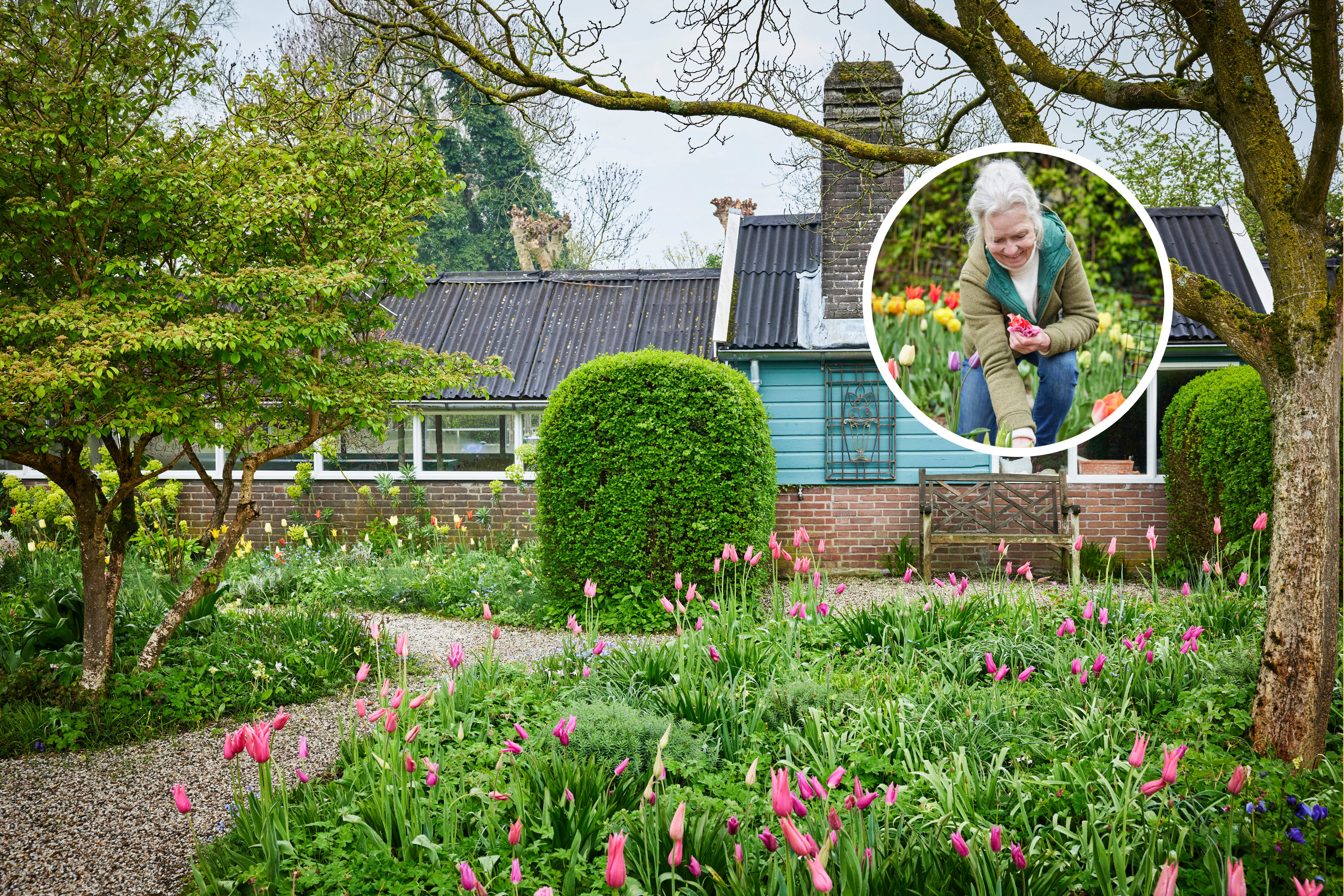 Jacqueline van der Kloet's garden | Kotona Living
