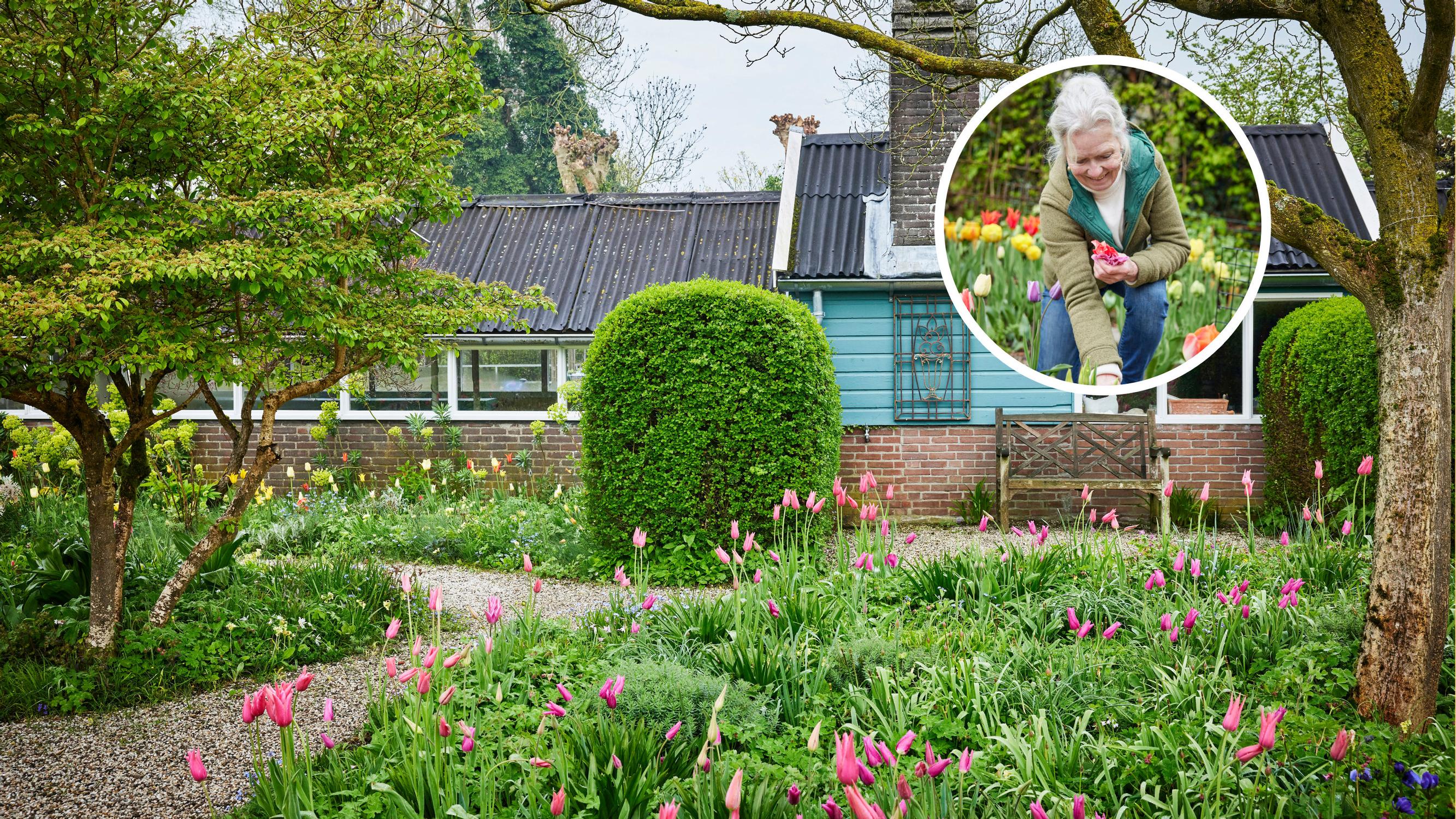 The natural way to grow tulips—insider tips from garden designer Jacqueline van der Kloet