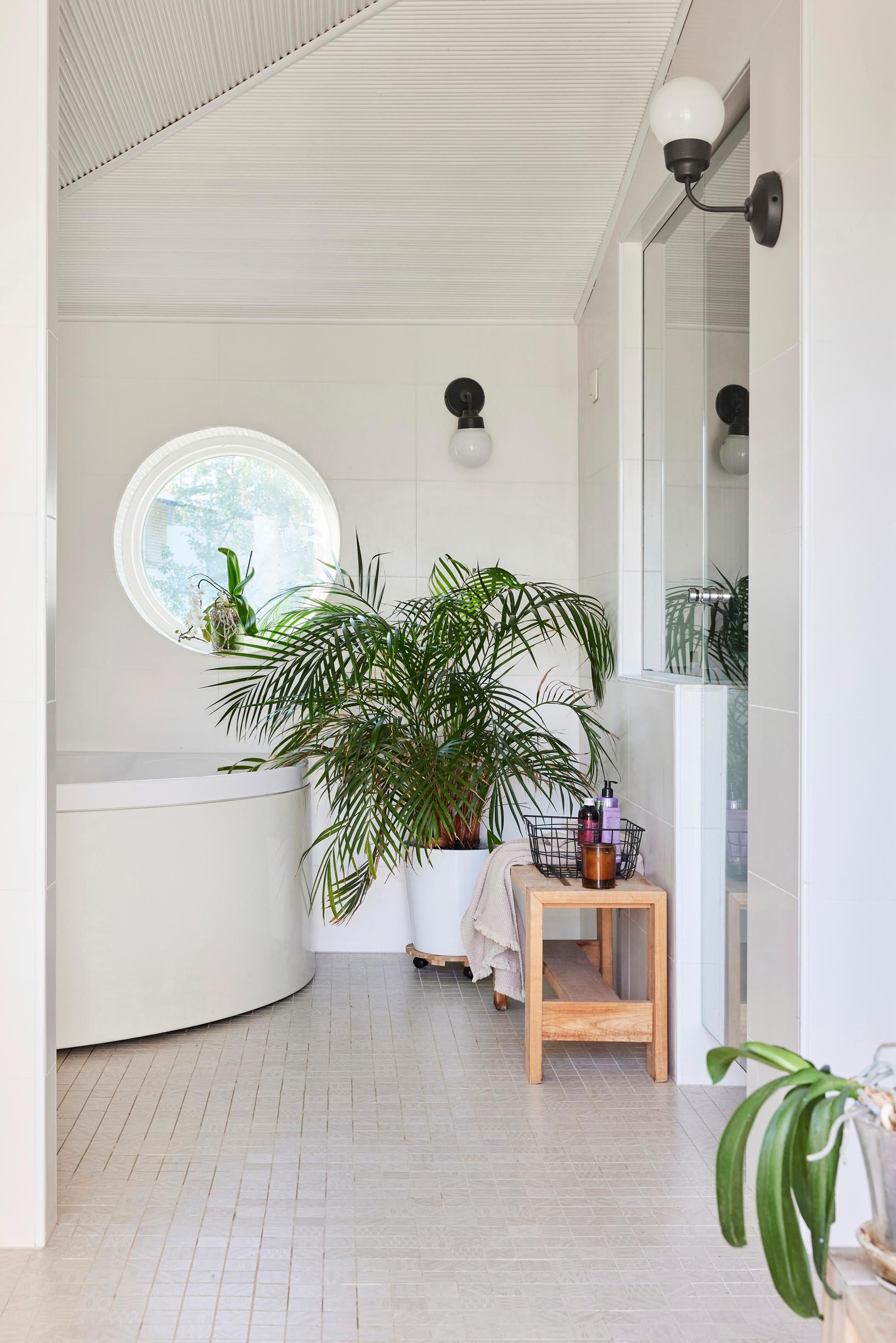 A bathtub and houseplants in the bathroom