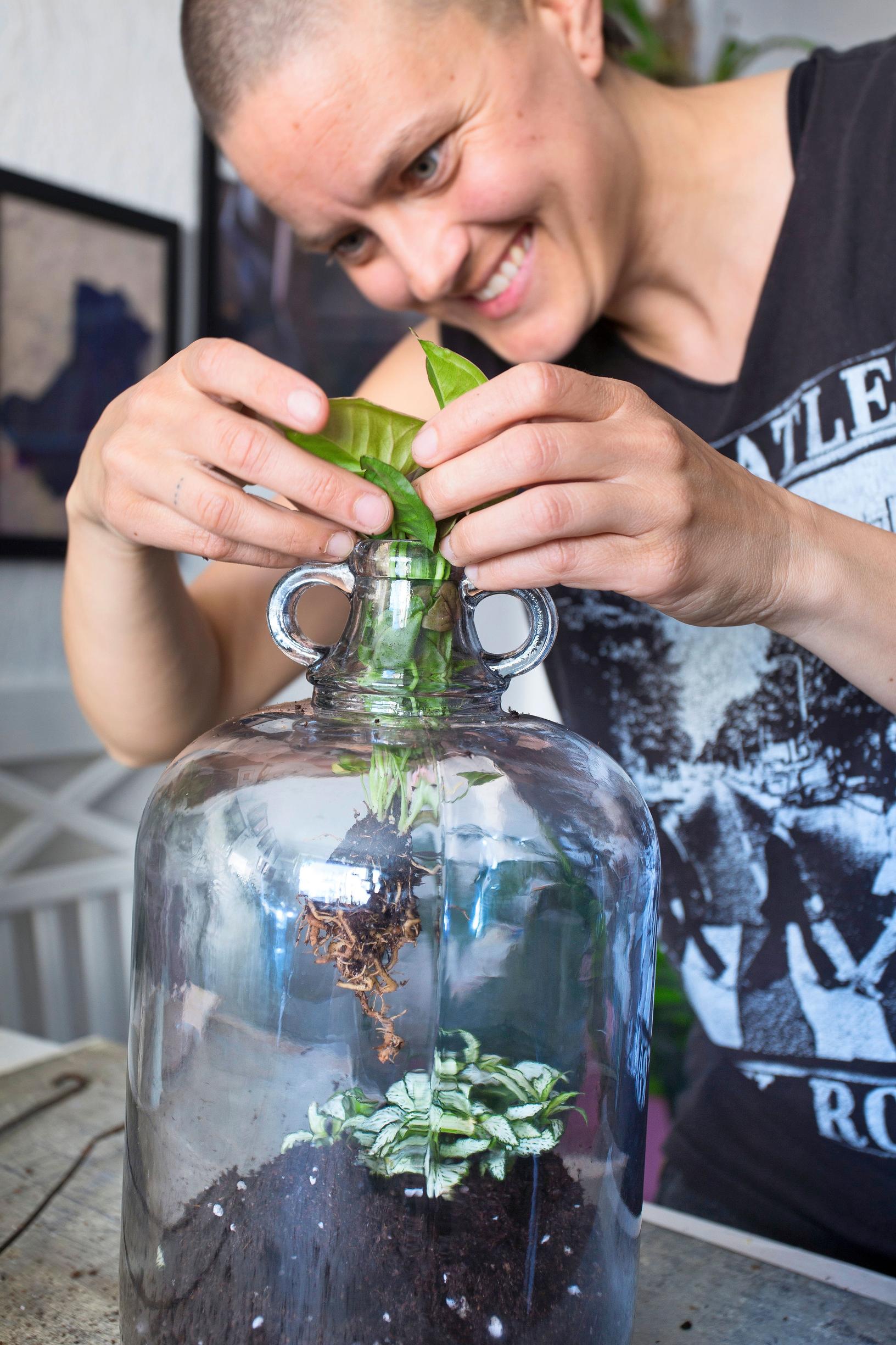 Plant bottle: How to create a magical mini world for the friend who always kills off ordinary potted plants