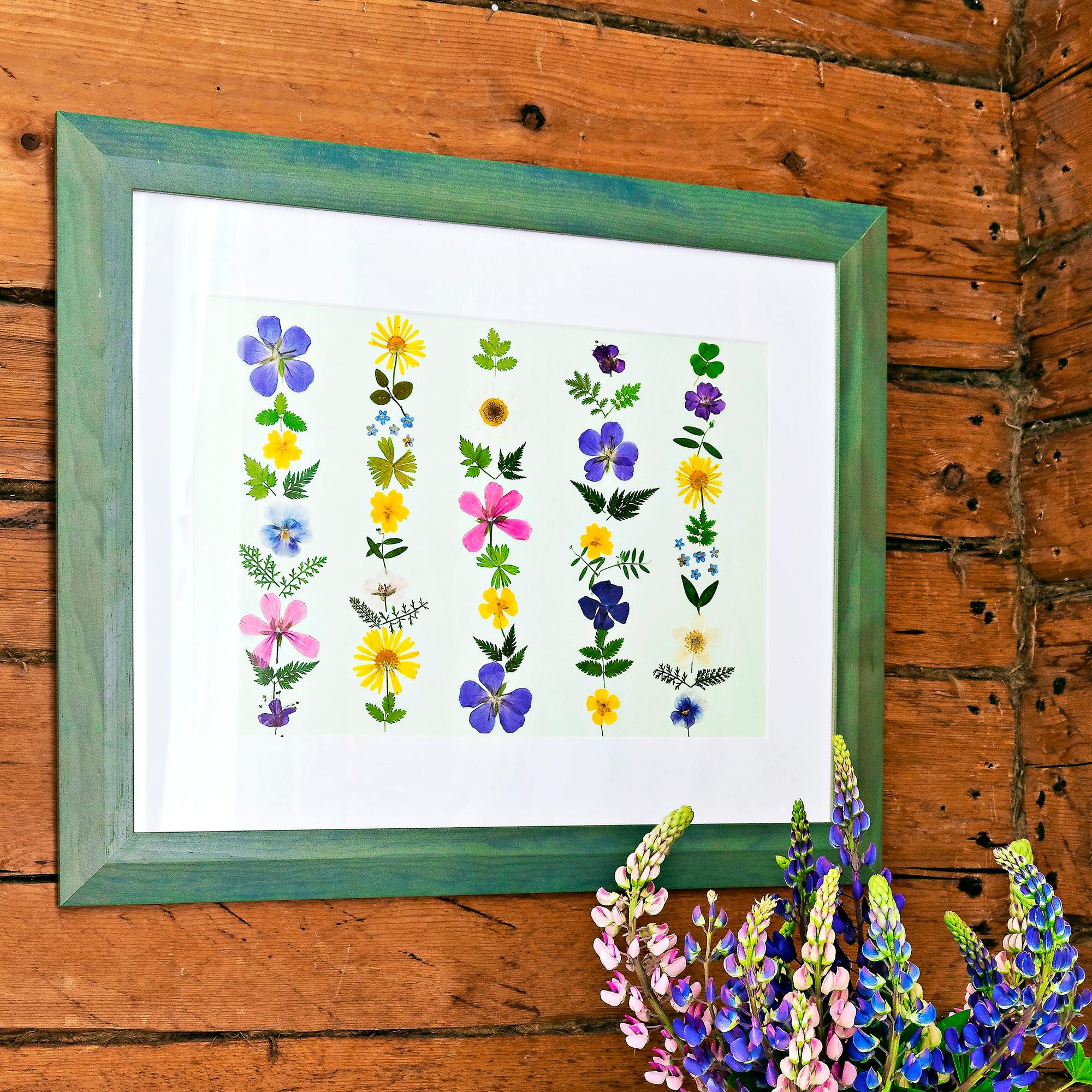 Pressed flower art—pick beautiful summer plants and preserve them in frames