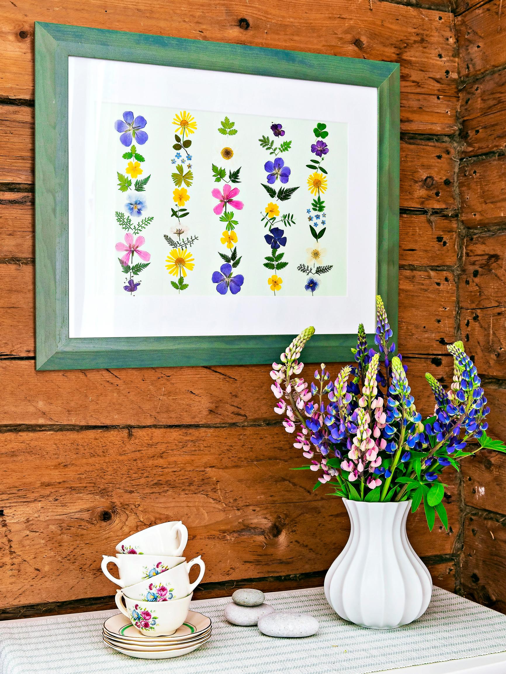 Pressed flower art—pick beautiful summer plants and preserve them in frames