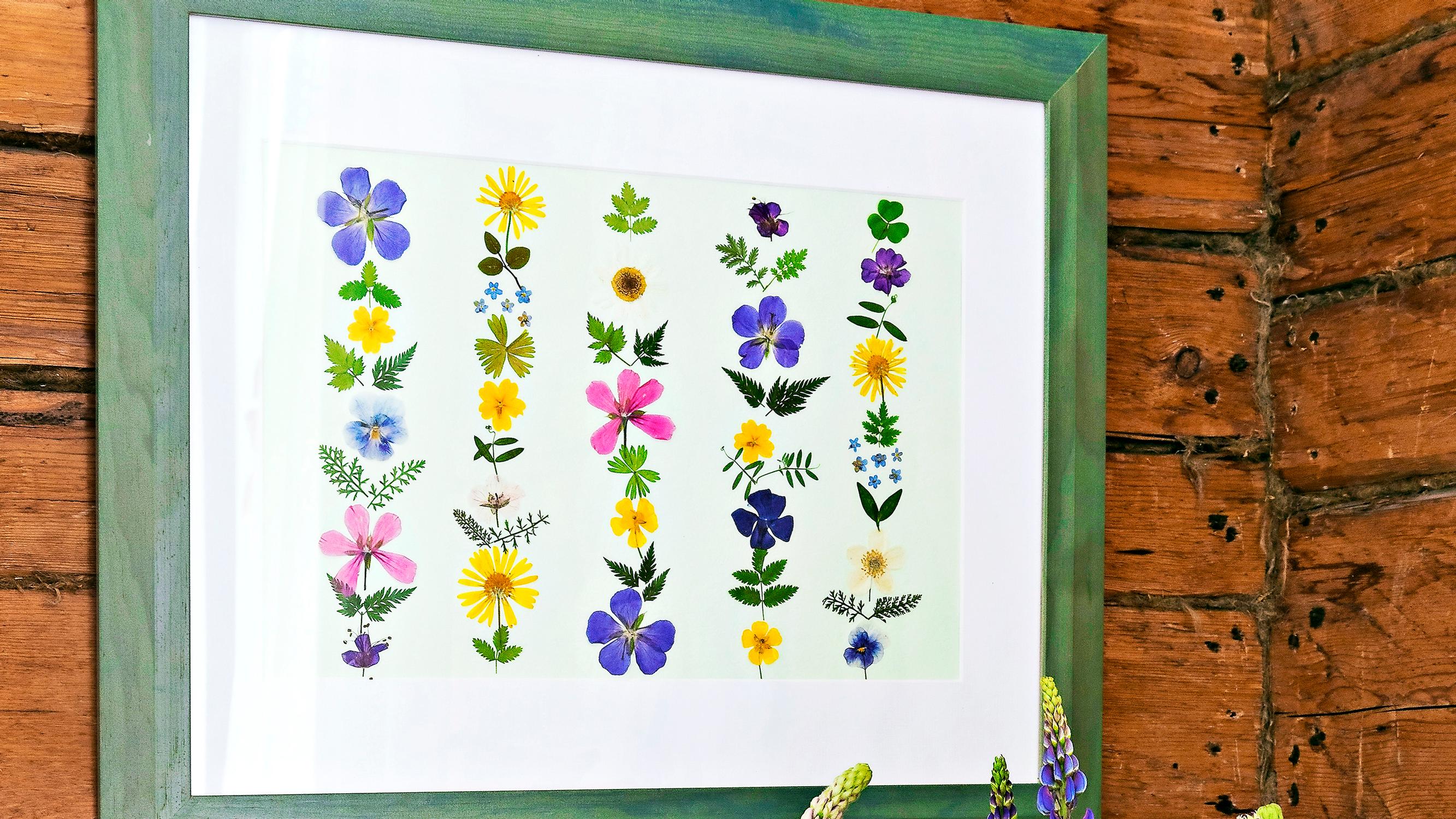 Pressed flower art—pick beautiful summer plants and preserve them in frames