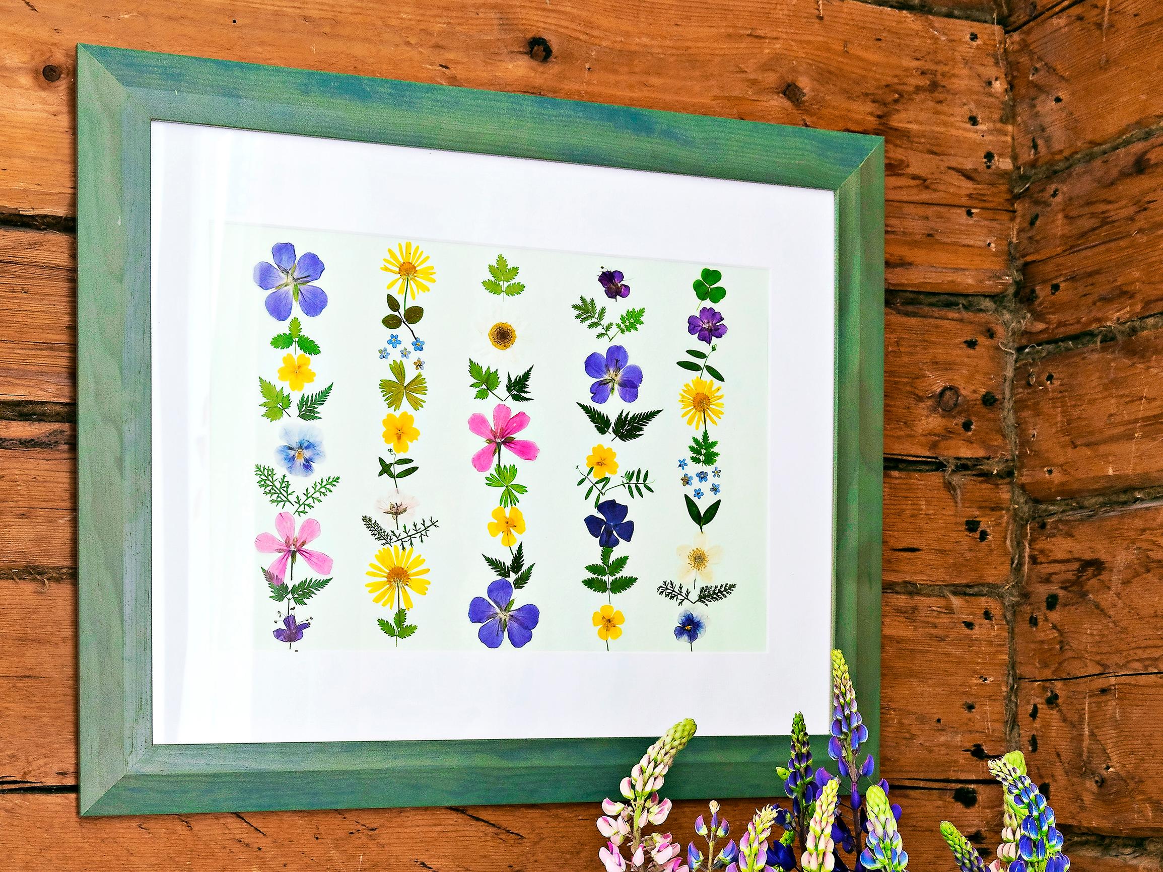 Pressed flower art—pick beautiful summer plants and preserve them in frames
