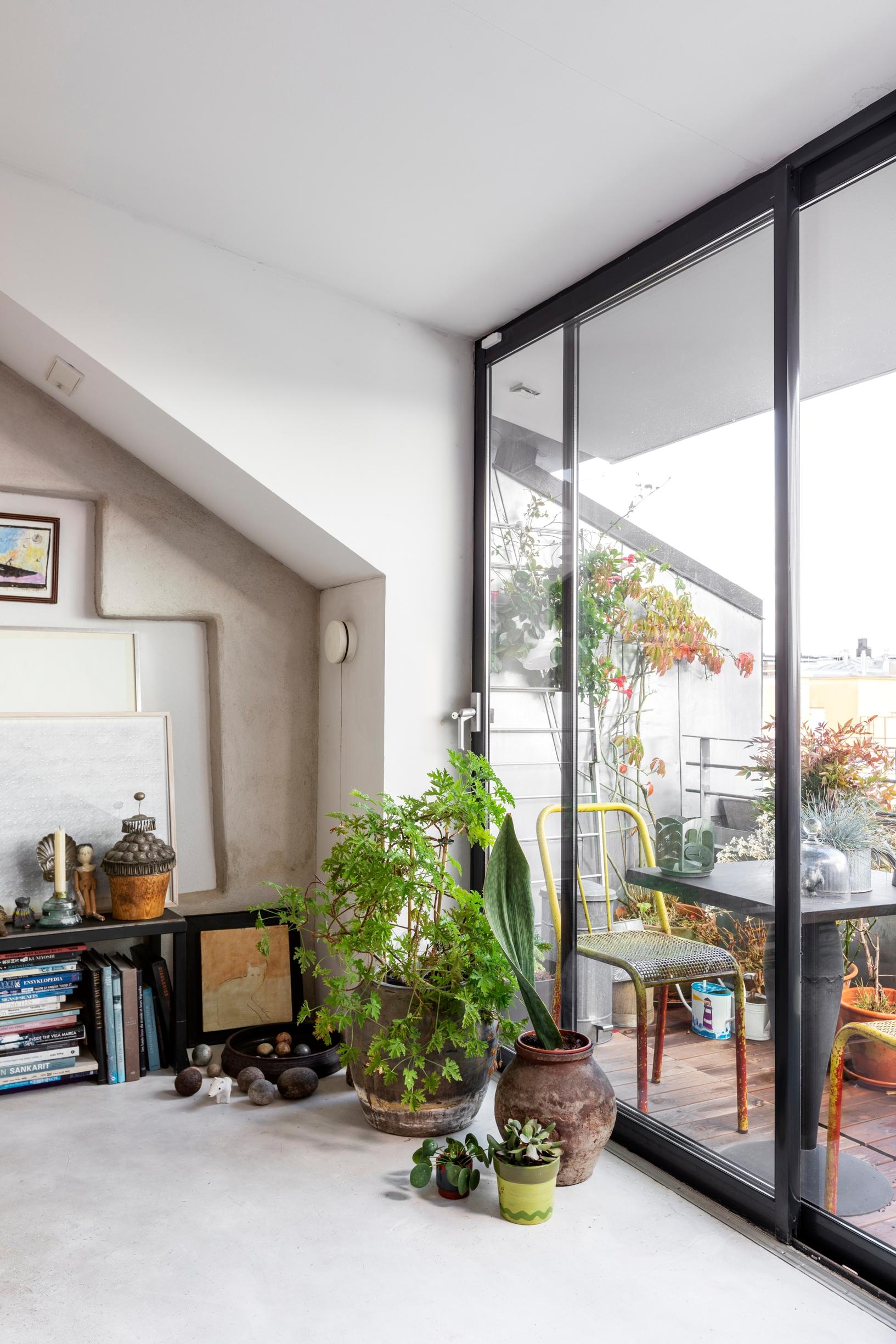 Arranging plants indoors: group of houseplants beside the balcony