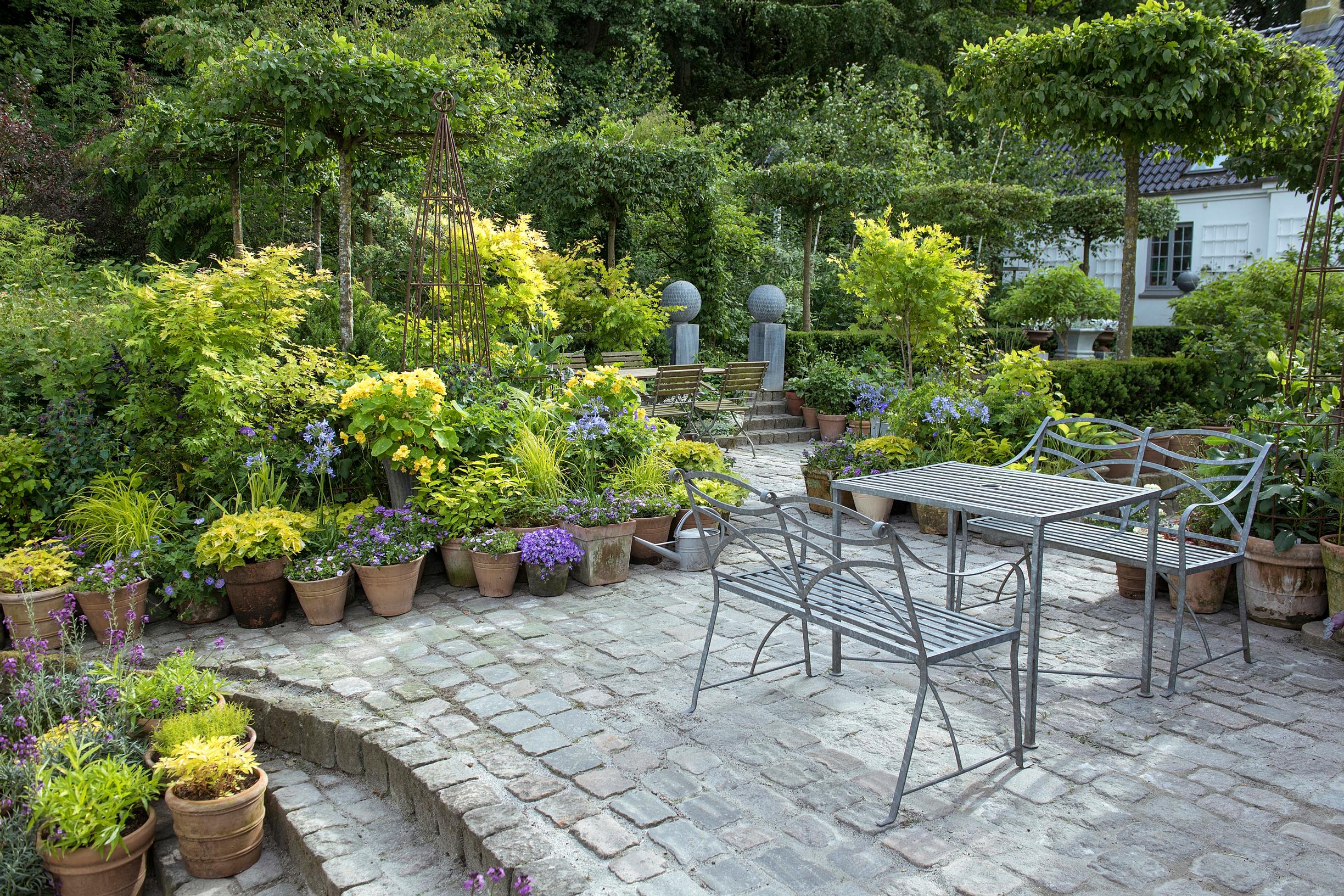 Claus Dalby’s container garden