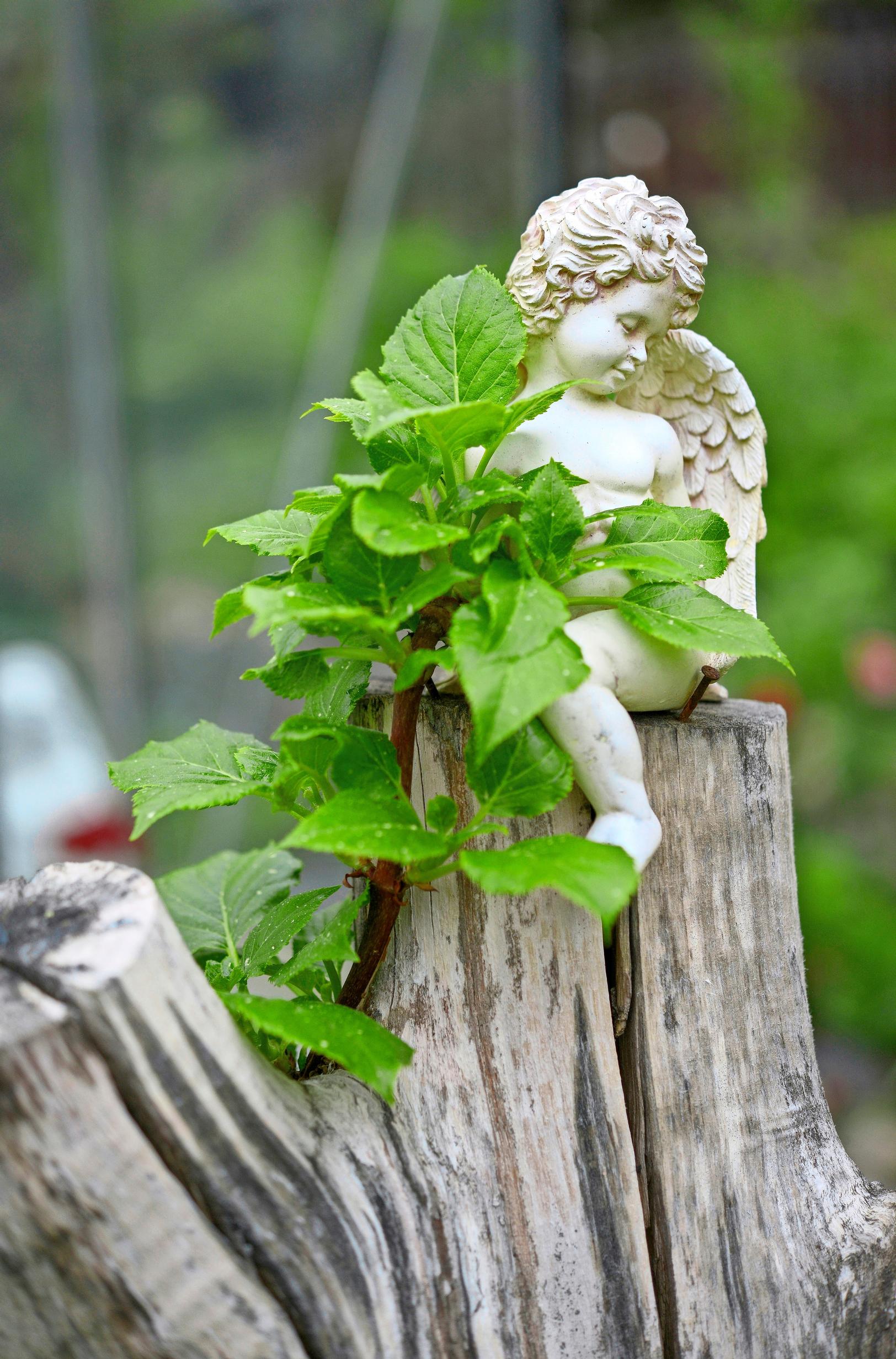 Garden decorations