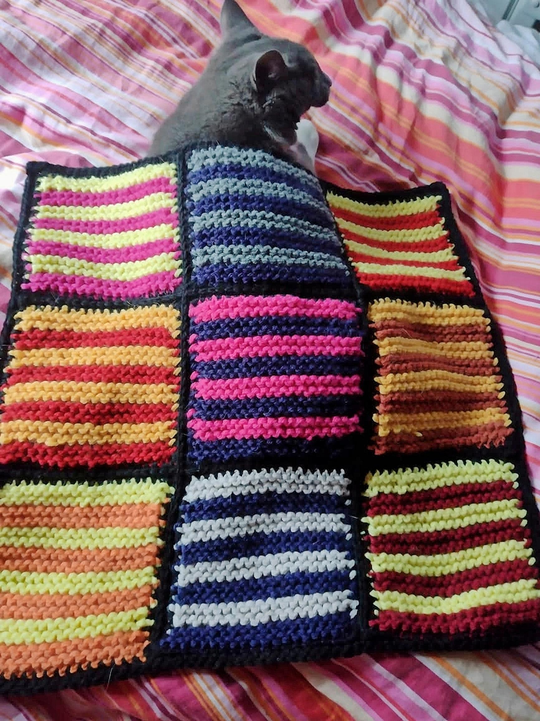 A cat under a blanket.