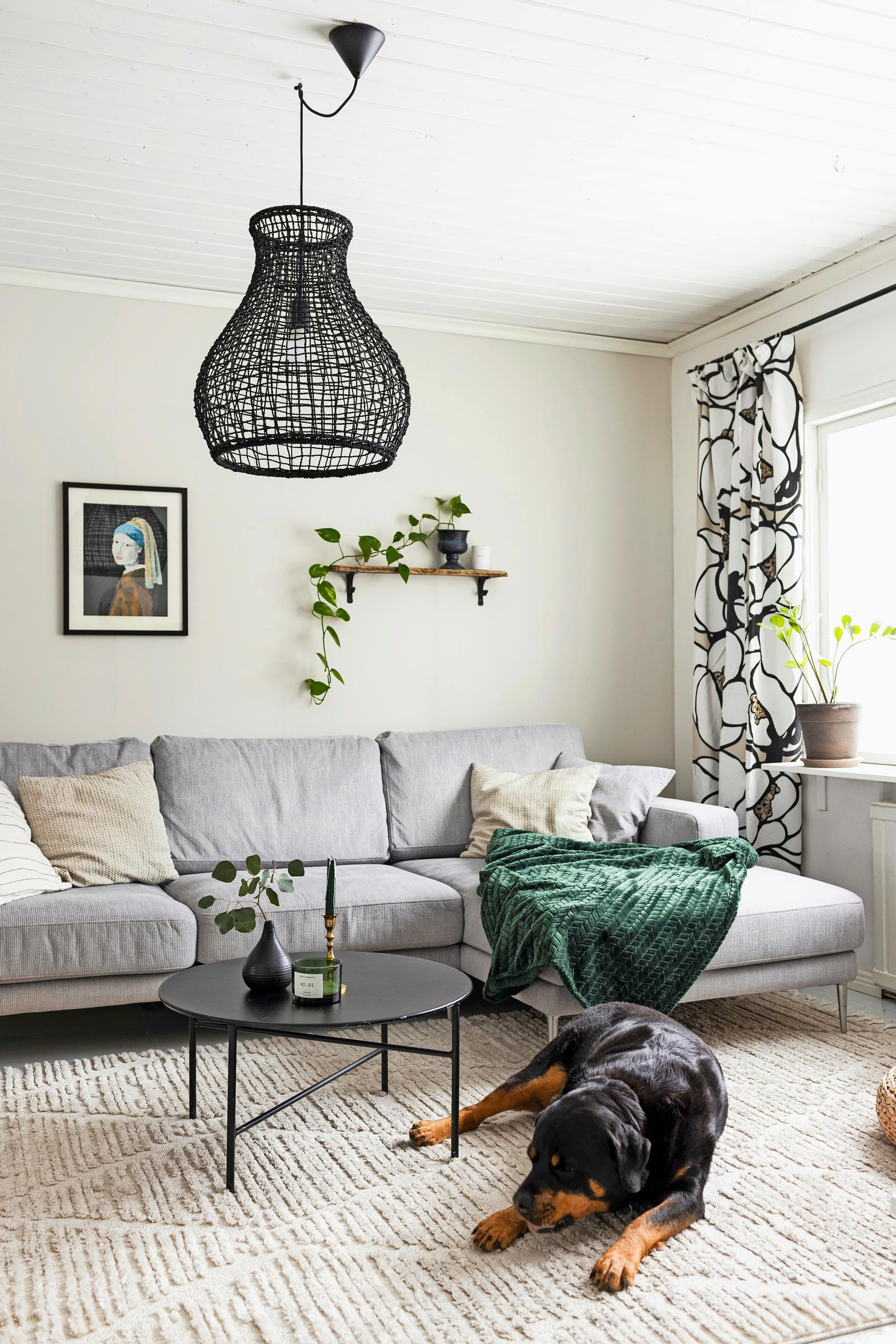 Gray sofa in the living room