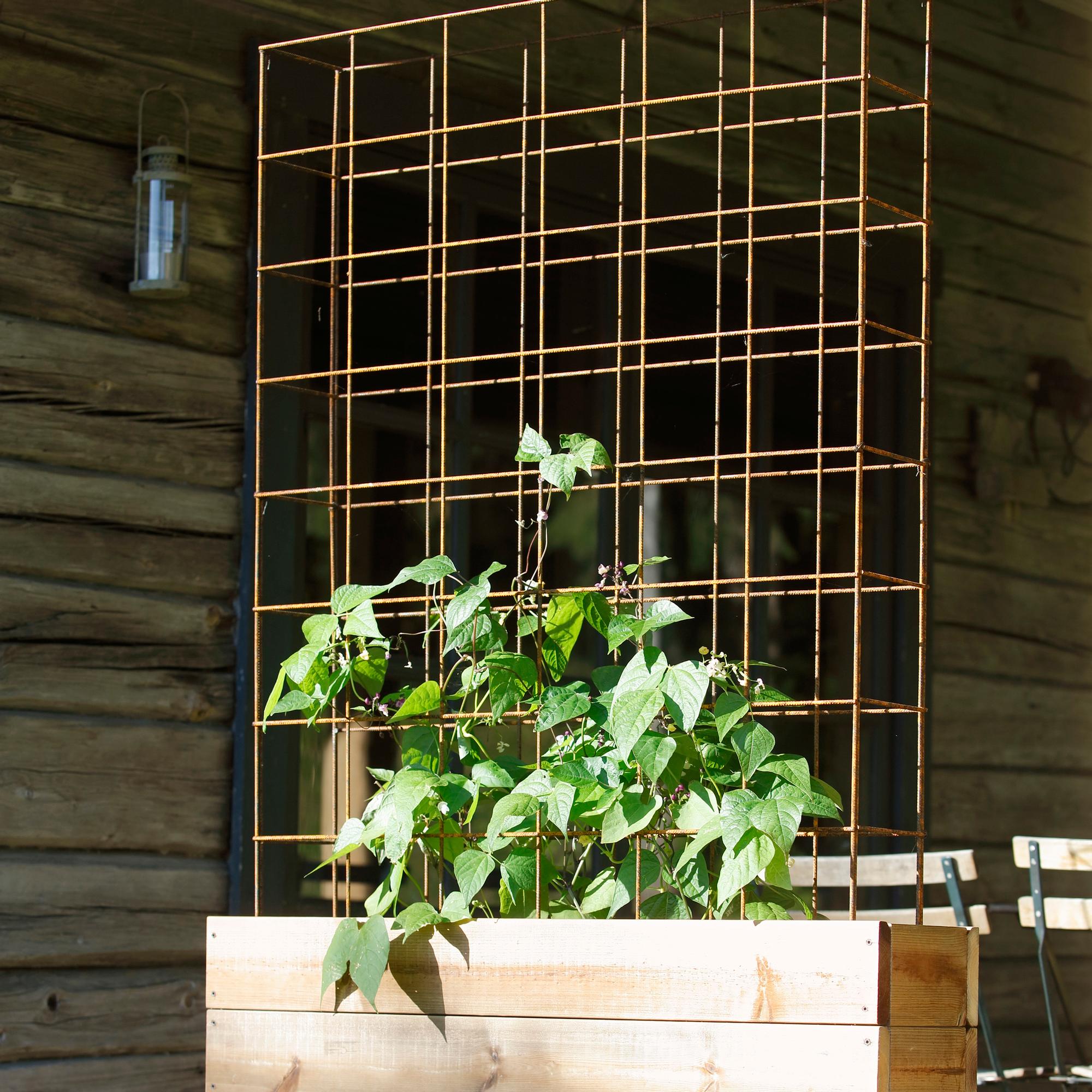 Climbing trellis planter box from rebar mesh—let plants climb on both sides to add extra privacy