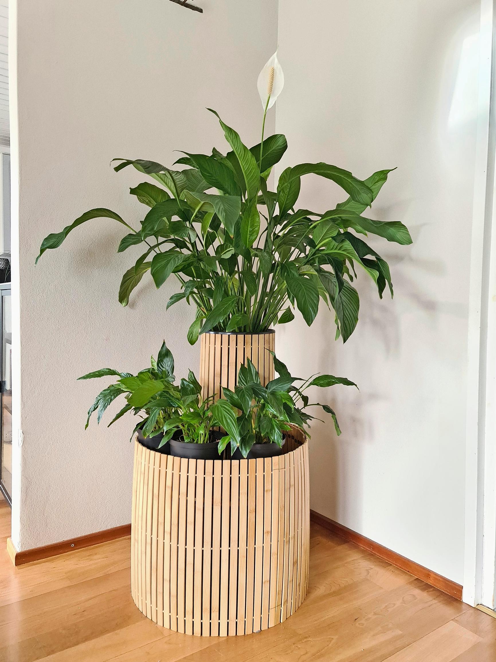 A mortar bucket covered with a bamboo mat, a simple homemade planter for indoor plants.