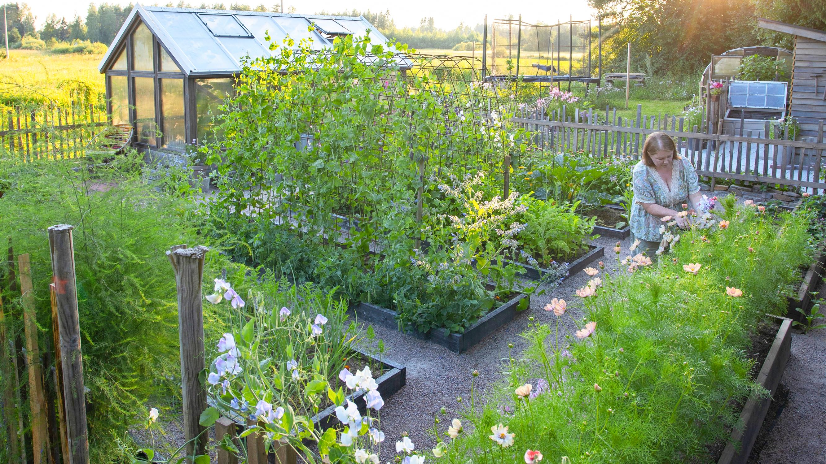 Virpi’s gorgeous kitchen garden has everything from chickpeas to summer flowers—check out her tips to set up your own!