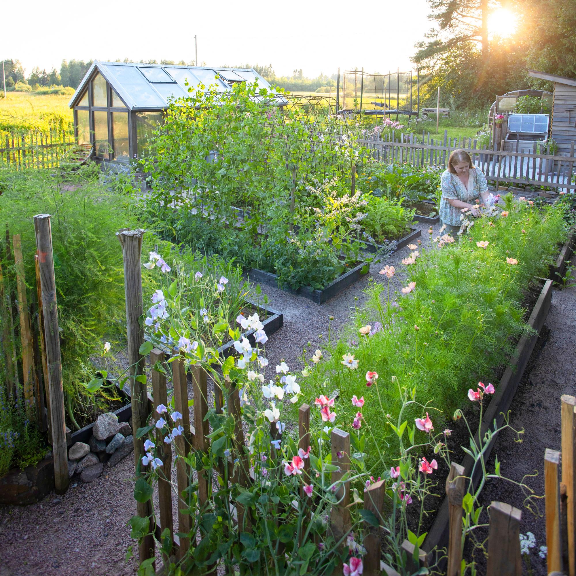 Virpi’s gorgeous kitchen garden has everything from chickpeas to summer flowers—check out her tips to set up your own!